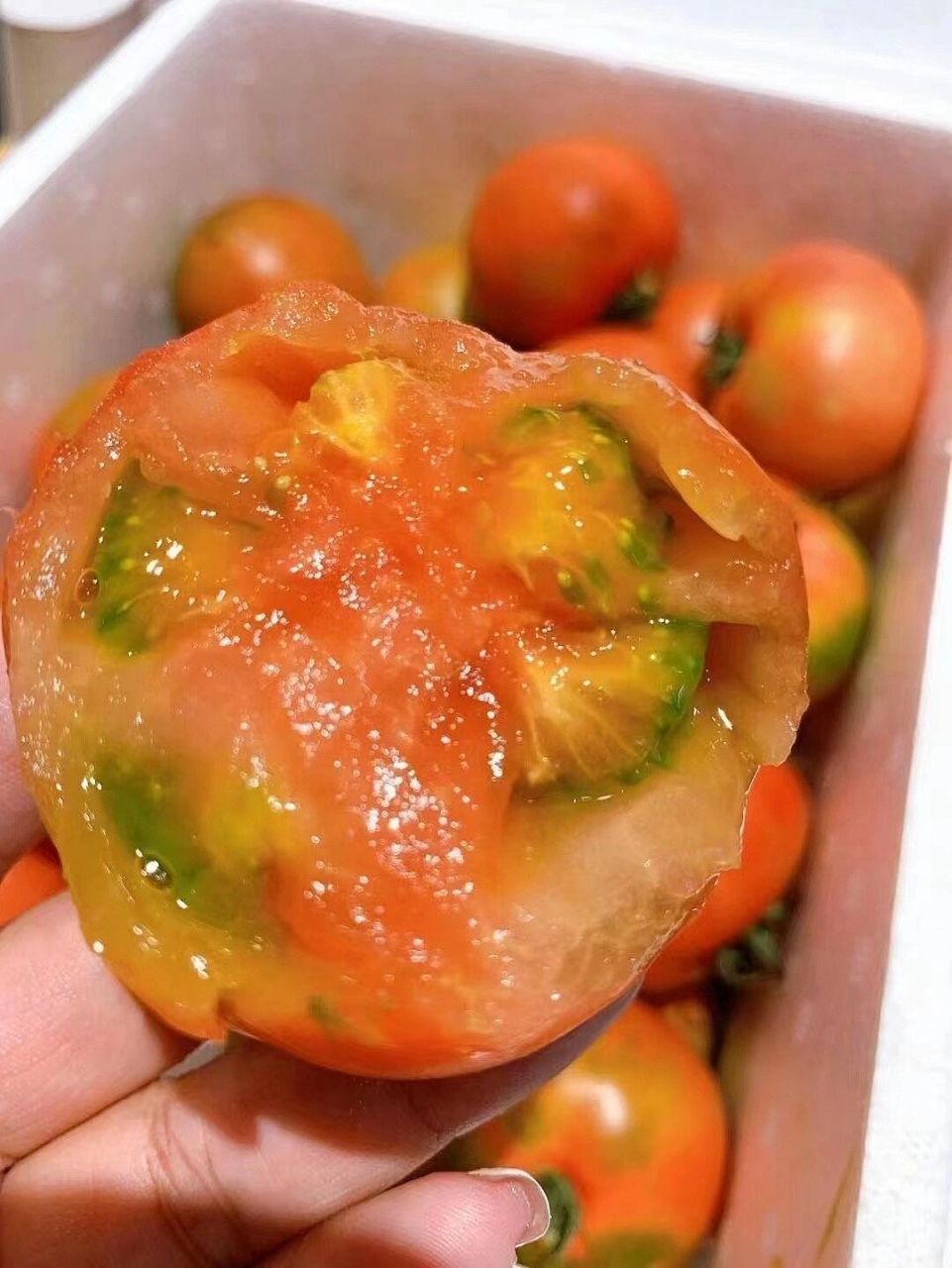 草莓柿子-令人惊艳的本土水果 7815|草莓柿子～虽然他也叫柿子