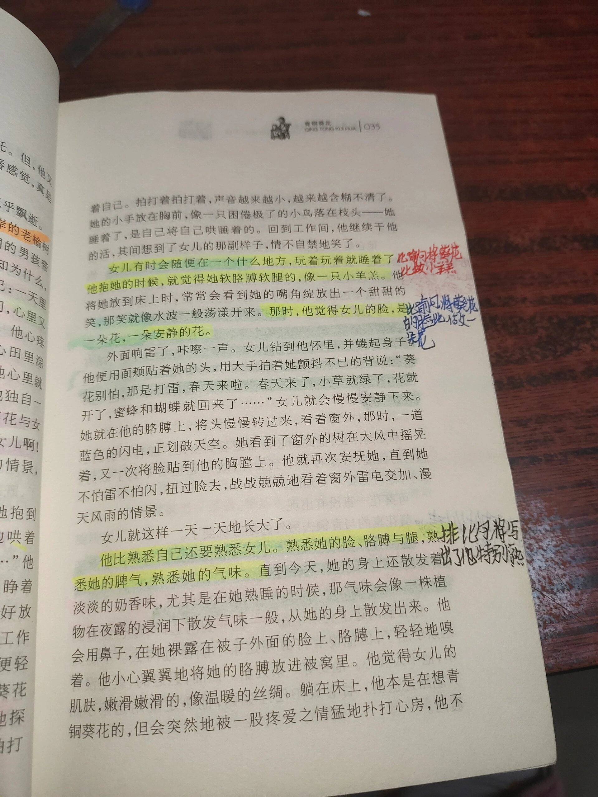 青铜葵花31~40页批注