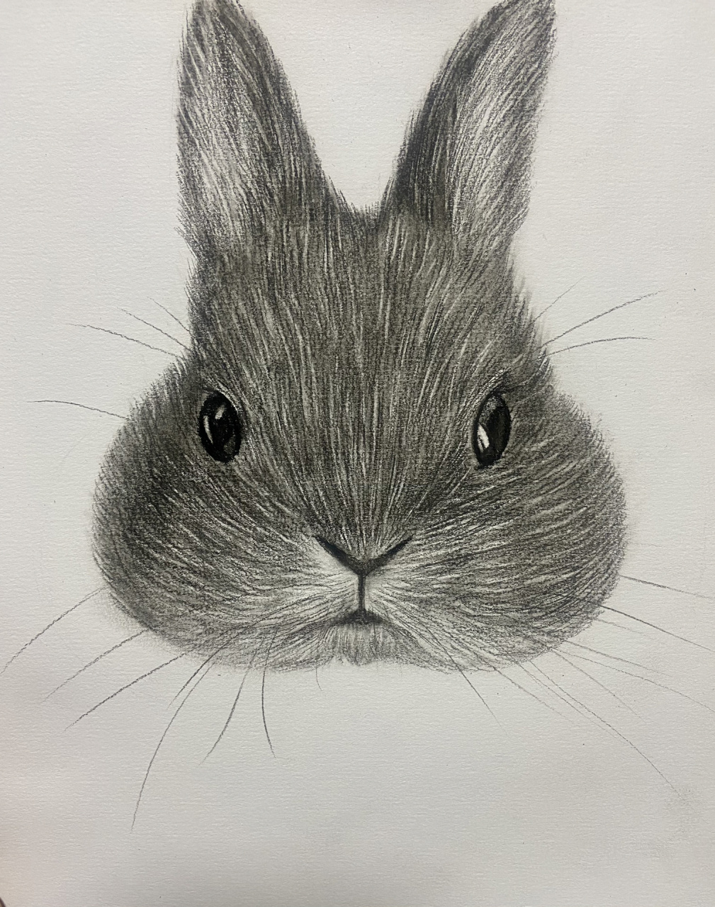 素描动物篇(肥兔)附详细过程图 速涂一只大肥兔!