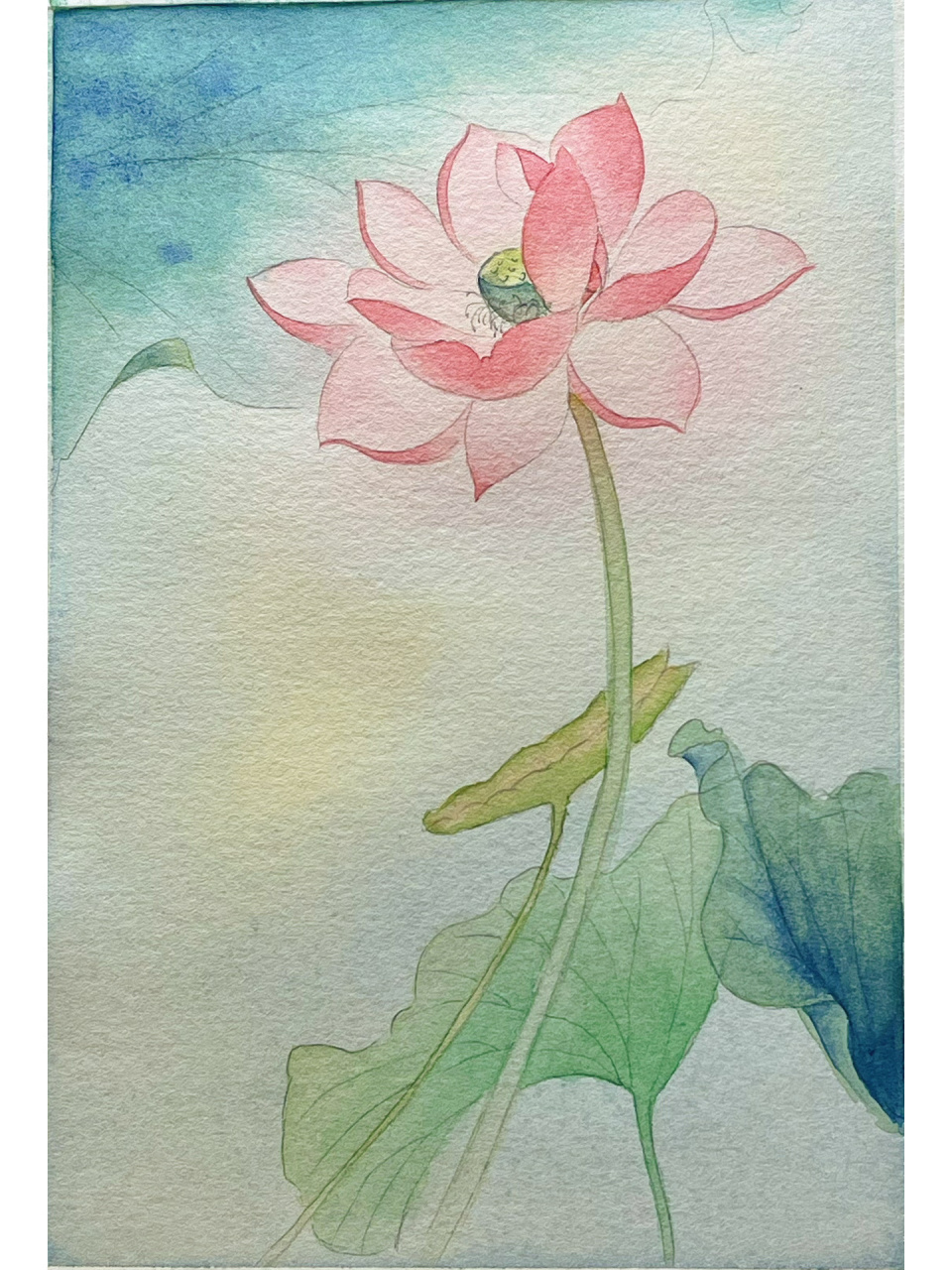 古风水彩 荷花 详细教程 图1:作品展示:原创配色 零基础古风荷花 图2