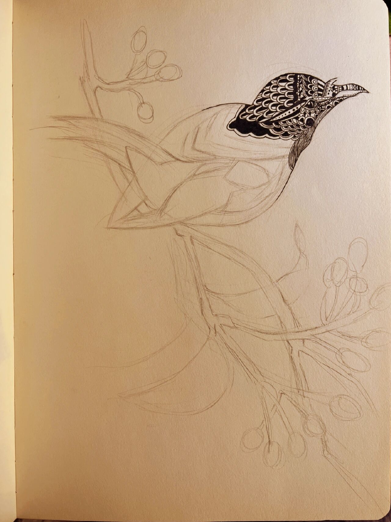 黑白装饰画——花鸟(有步骤