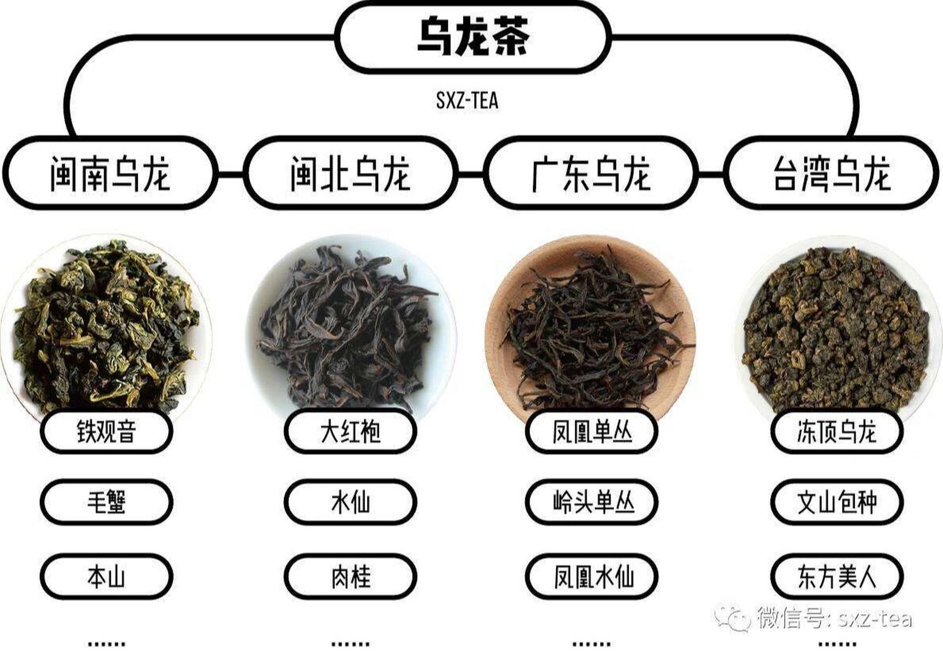 根据产地不同,乌龙茶分为闽北乌龙,闽南乌龙,广东乌龙,台湾乌龙.