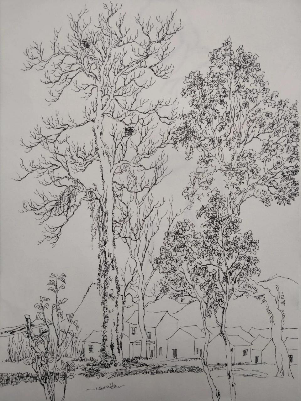 风景写生61乡村田园618开素描画