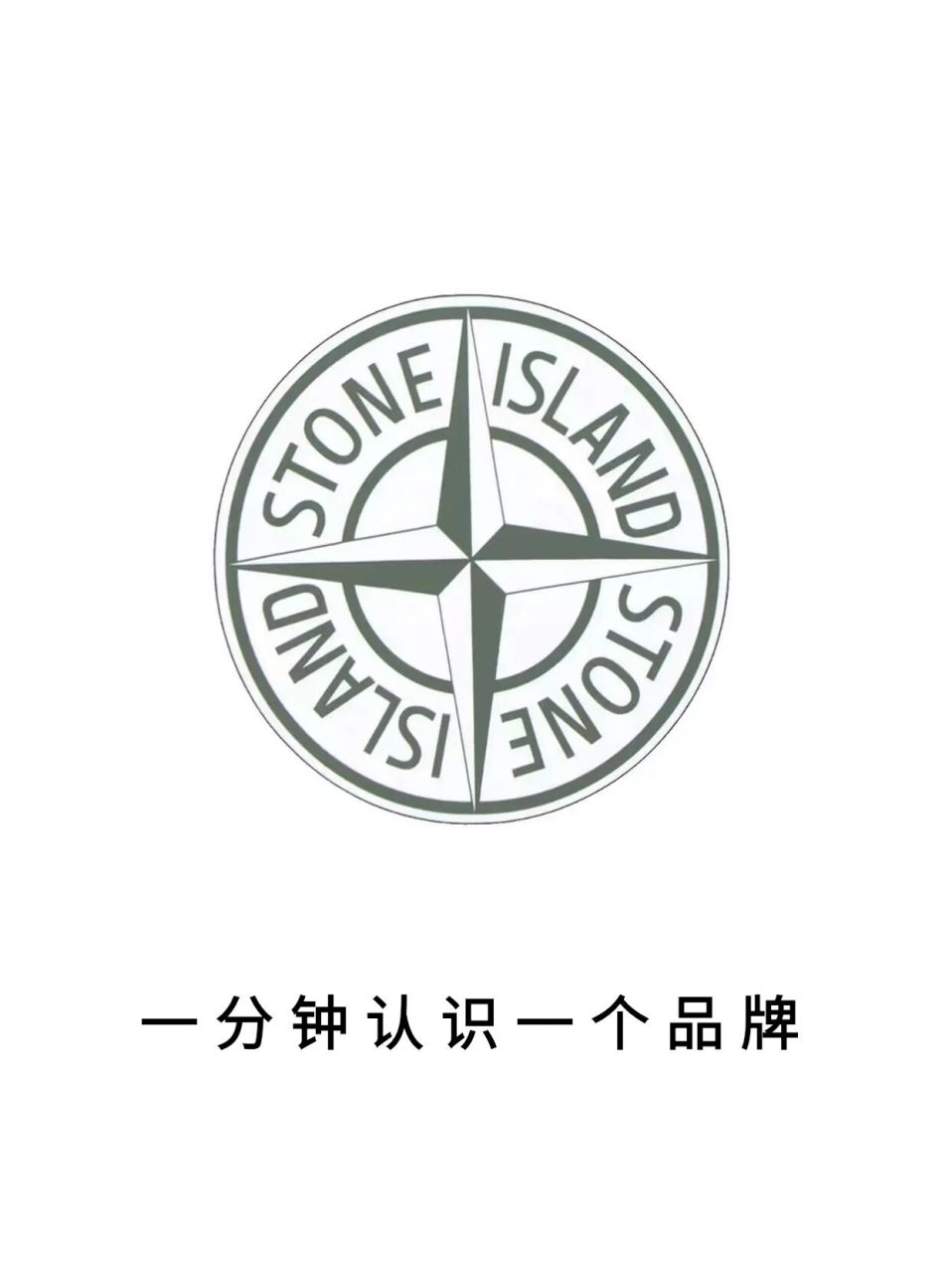 石头岛品牌logo图片