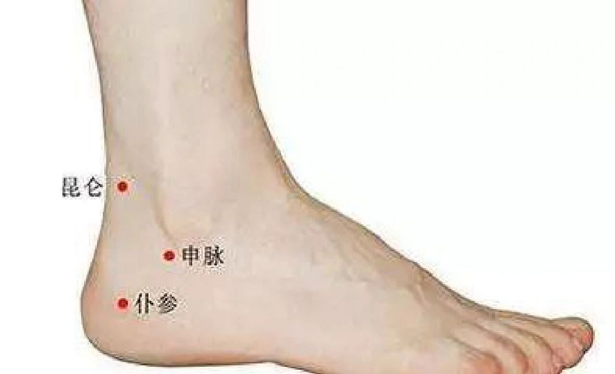 "催眠穴"——申脉穴 【主治病症】失眠,头痛,眩晕,腰腿痛,足踝关节痛