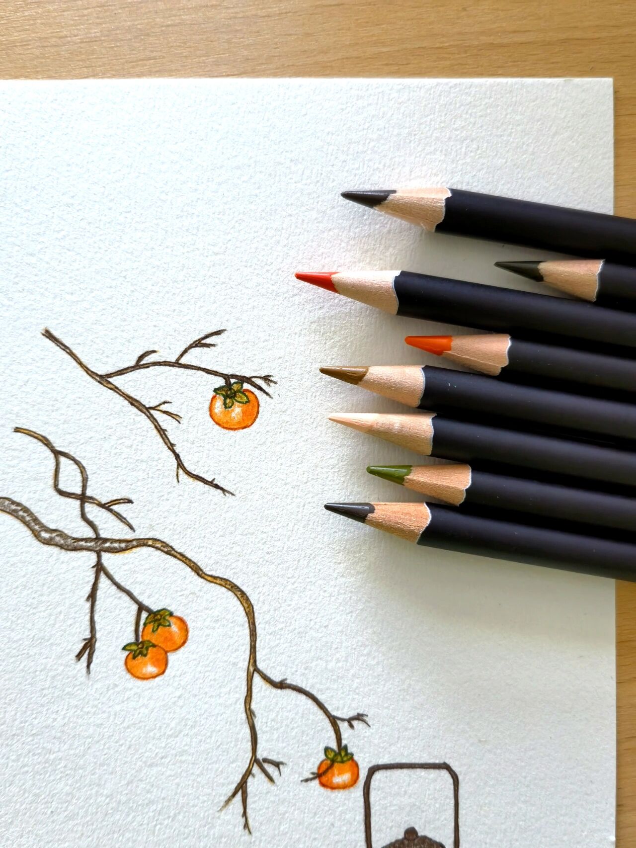 彩铅临摹:柿柿如意