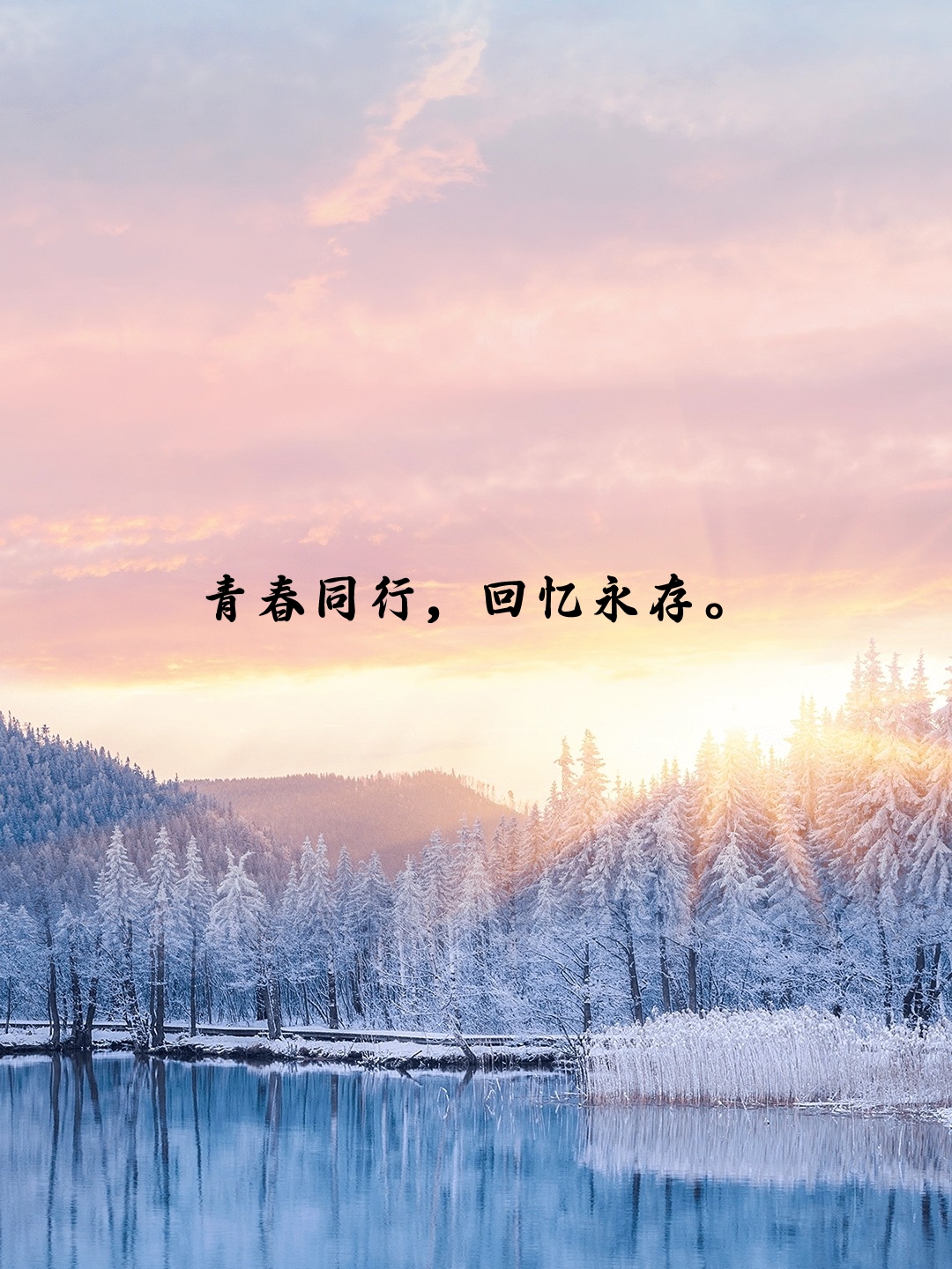 同学情谊最珍贵的句子 在青春的校园里,我们与同学们一同度过了无数