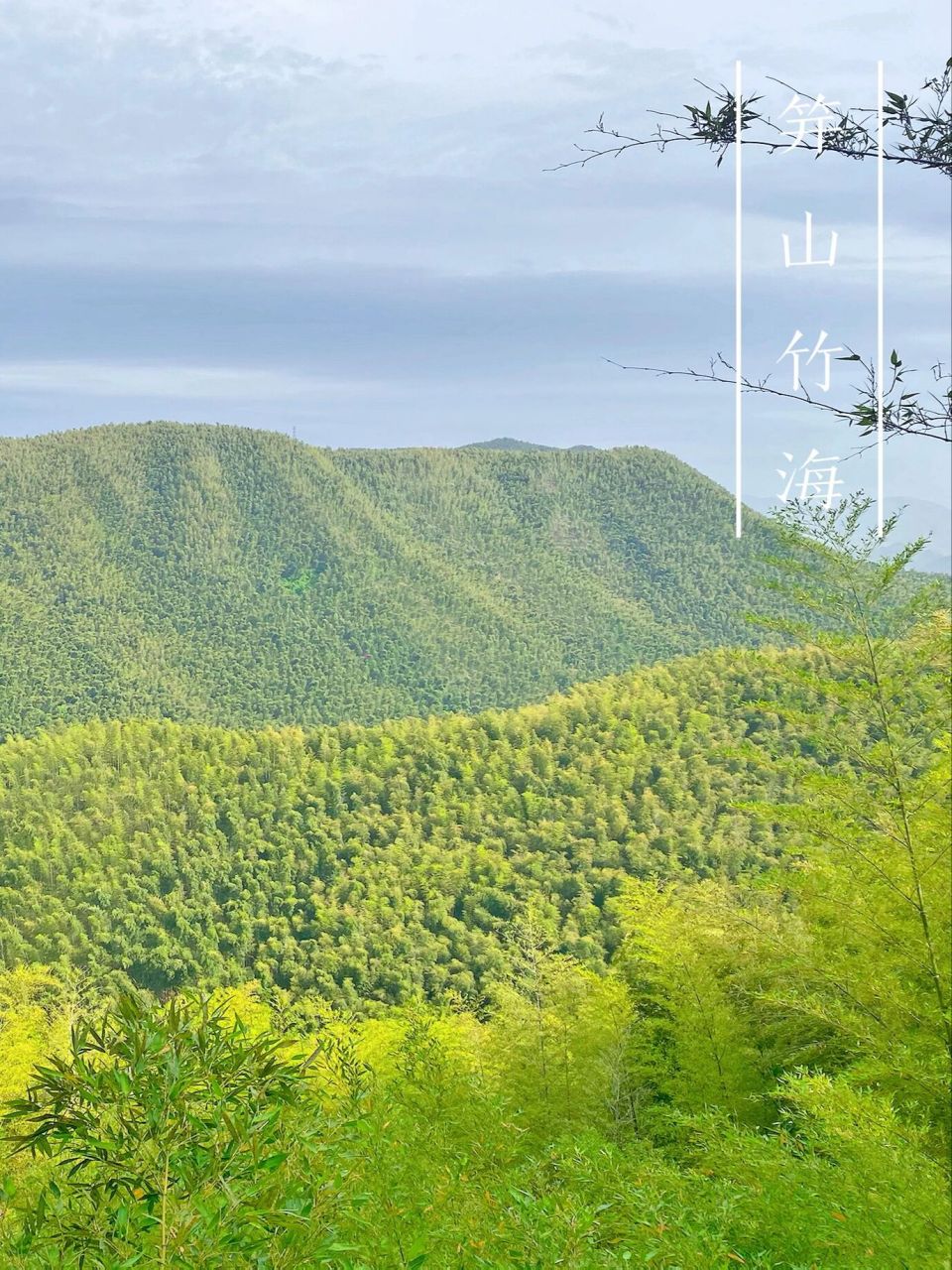 绝美小众景点,安徽广德笄山竹海 !