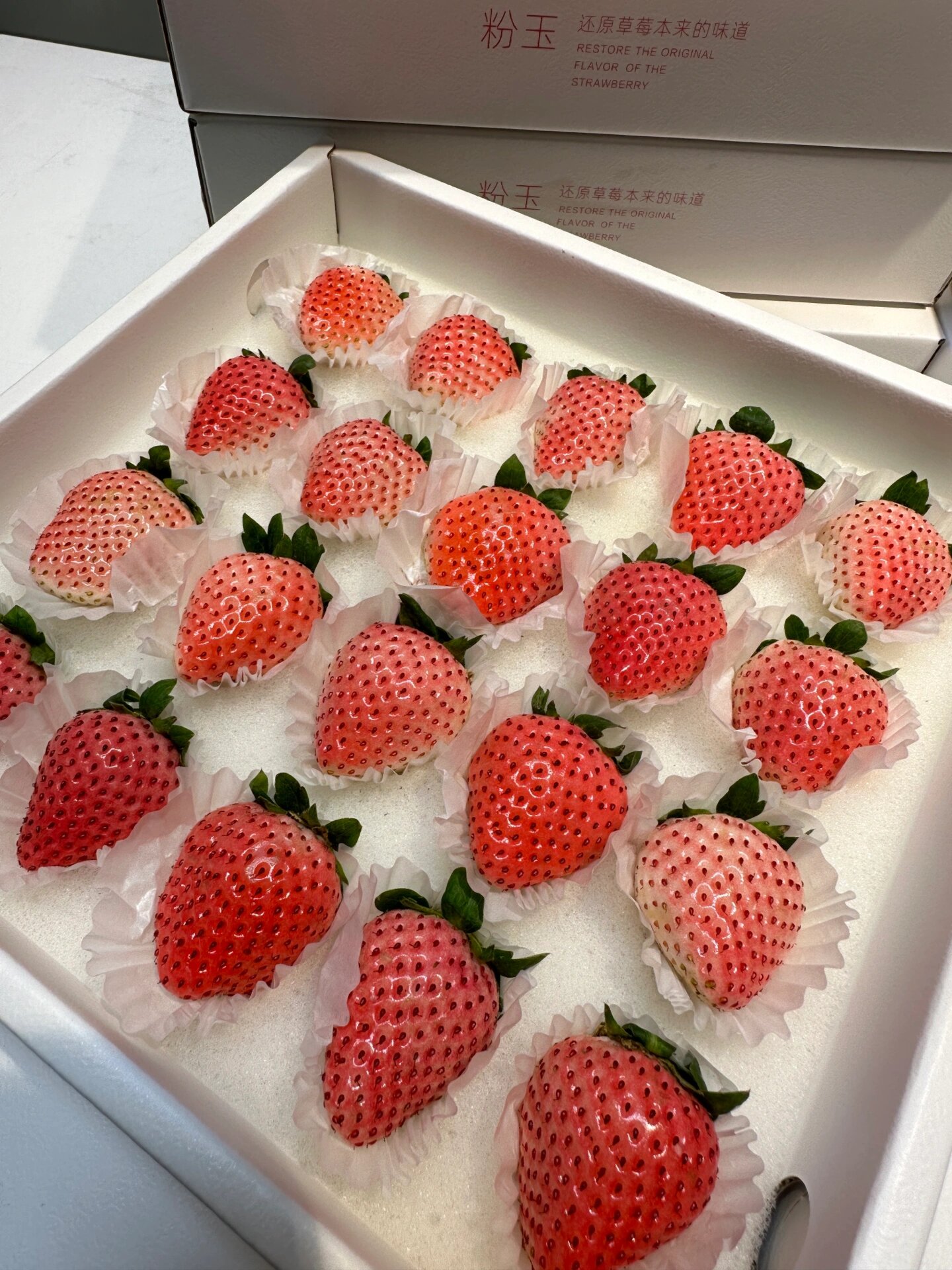 粉玉·草莓|少女心爆棚啦919191