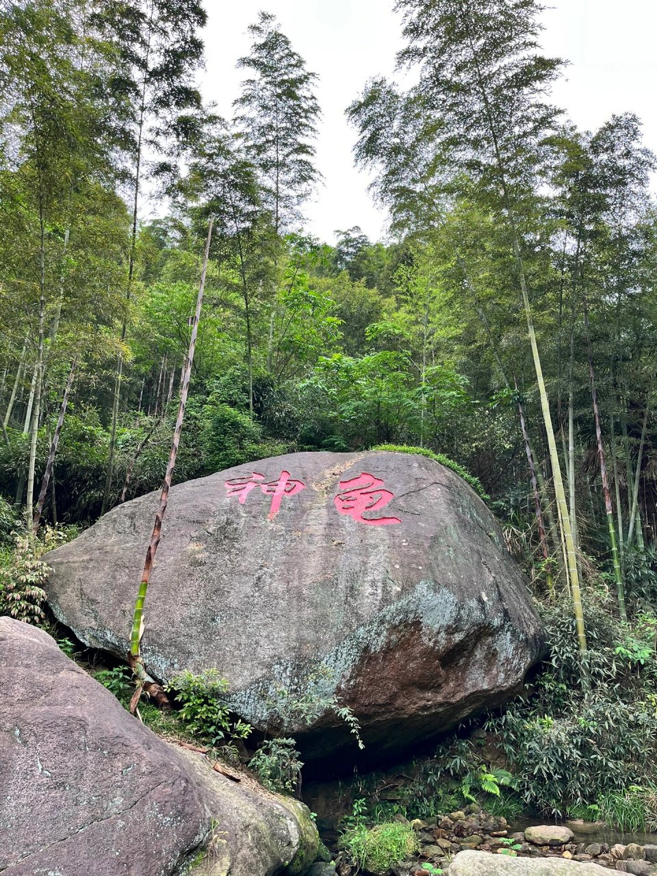 76梅岭-竹海明珠,梅岭其中的一个景点7215 77门票→35/人99