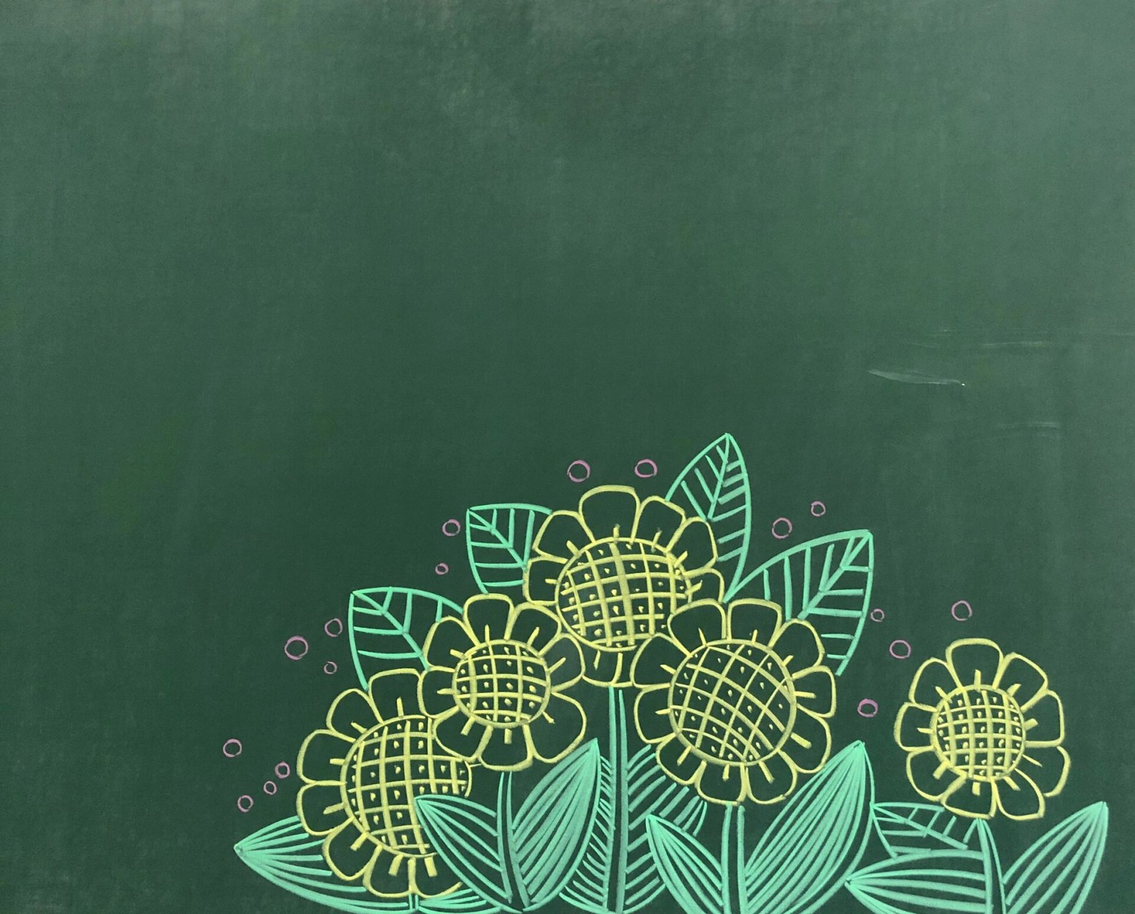 粉笔画,黑板画—向日葵97和仙人掌91 向日葵是充满阳光,充满朝气