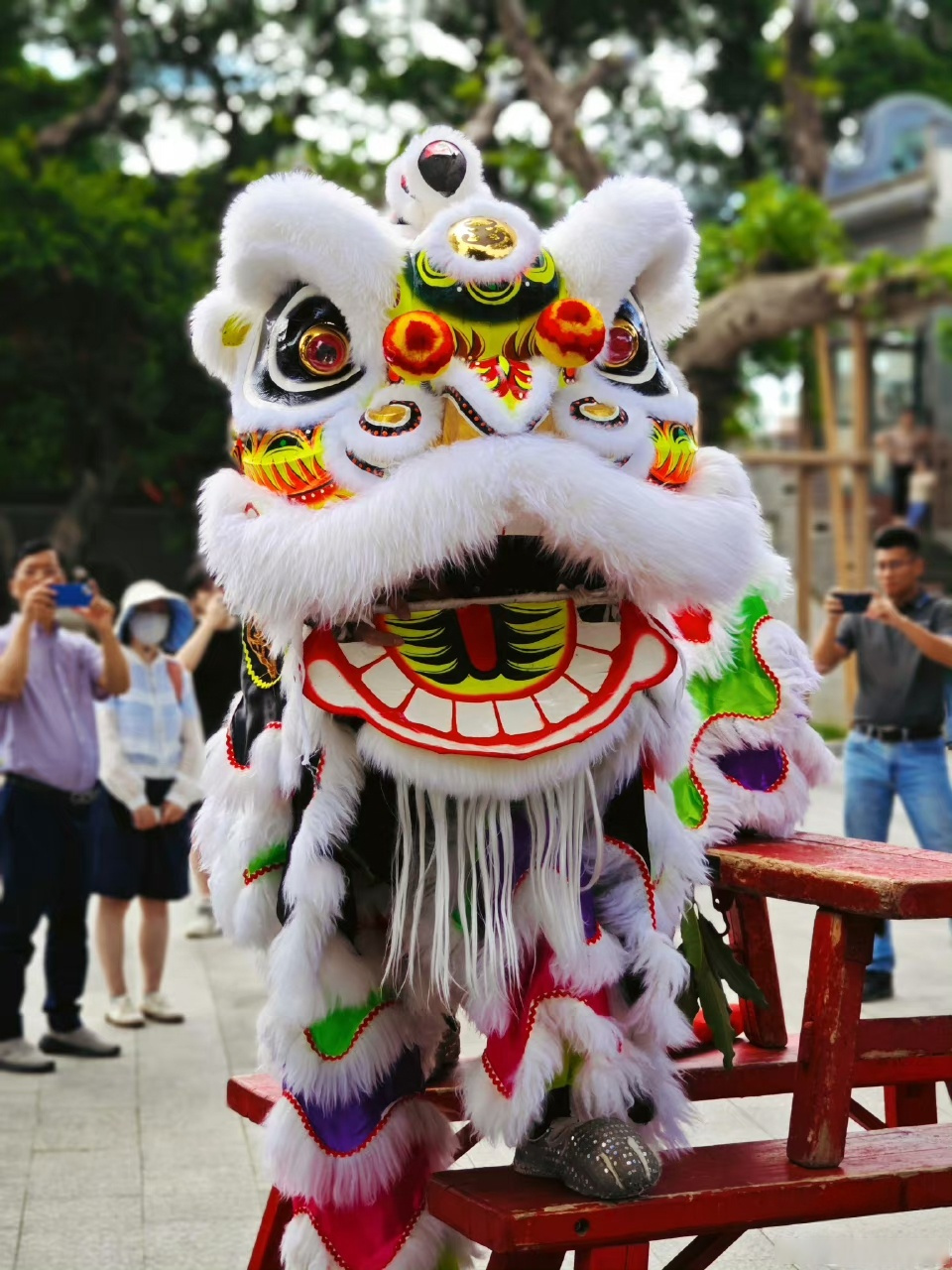 万千气象看广东#在中国的传统文化中,舞狮是一种深受人们喜爱的民间