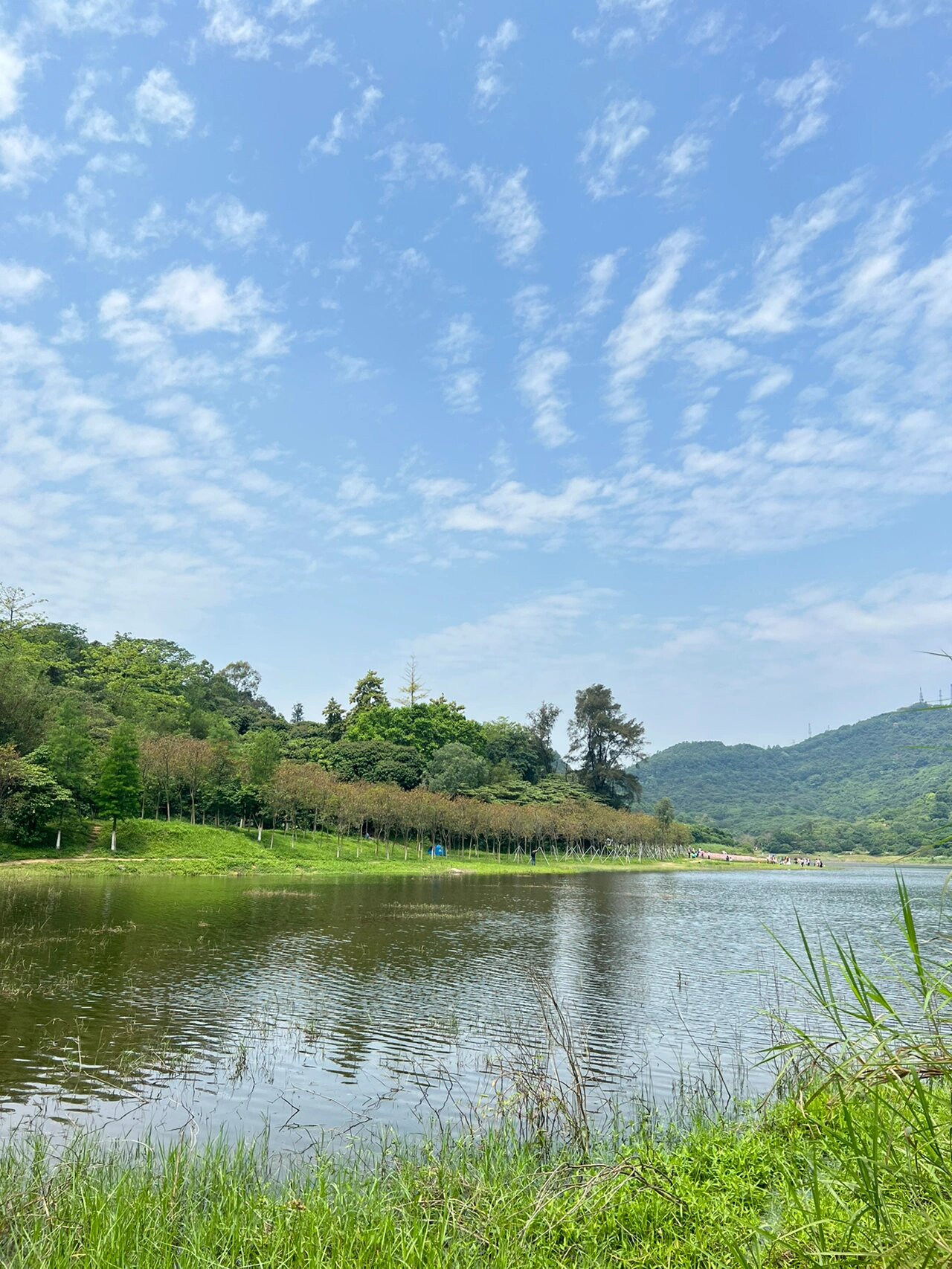 森林山水美术学校图片