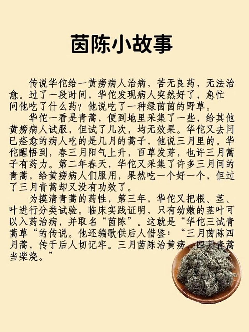 每天认识一味药--茵陈 7515功效与作用 茵陈是一种中药材,药性苦