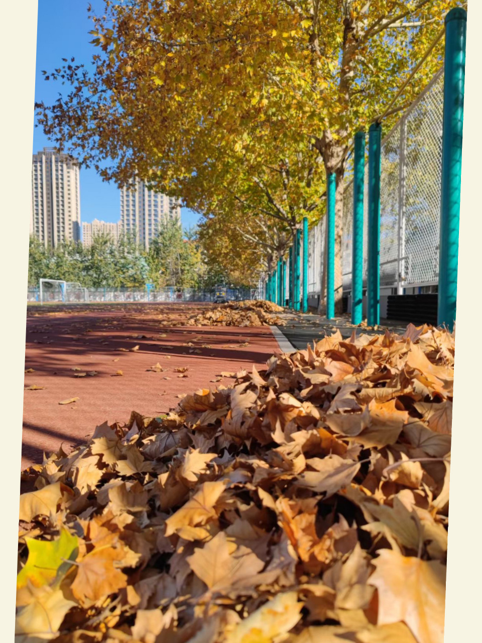 沧州十四中 目前沧州最热的学校之一,也是众多下县家长少则花一二百万