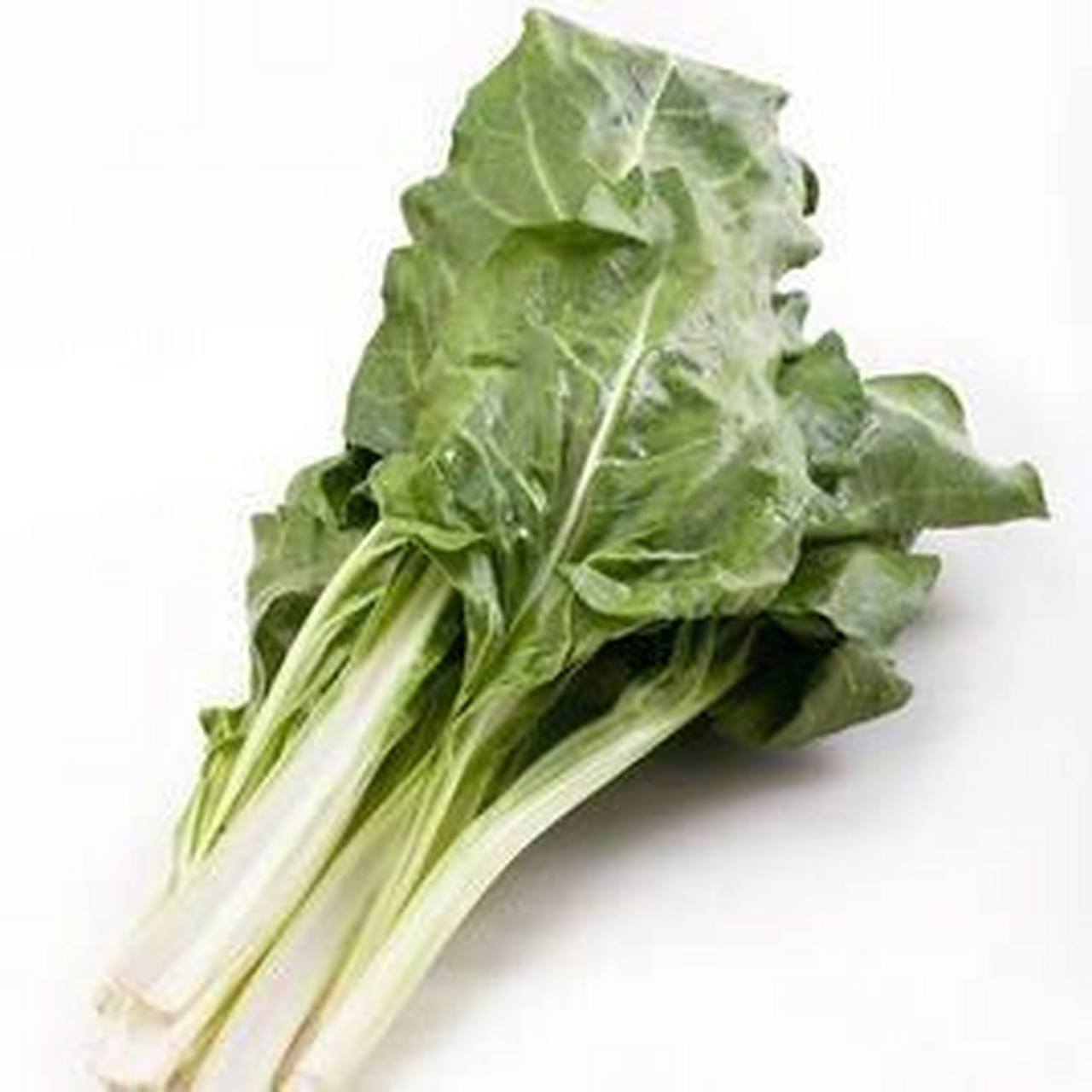 莙荙菜(牛皮菜,猪乸菜) 性味:甘,寒,无毒. 归经:入肺,脾.