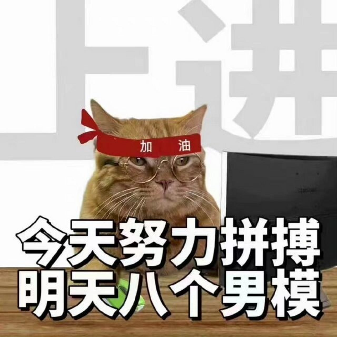 今天努力拼搏 明天八个男模🥰 #表情包# #表情包分享# #搞笑表情包