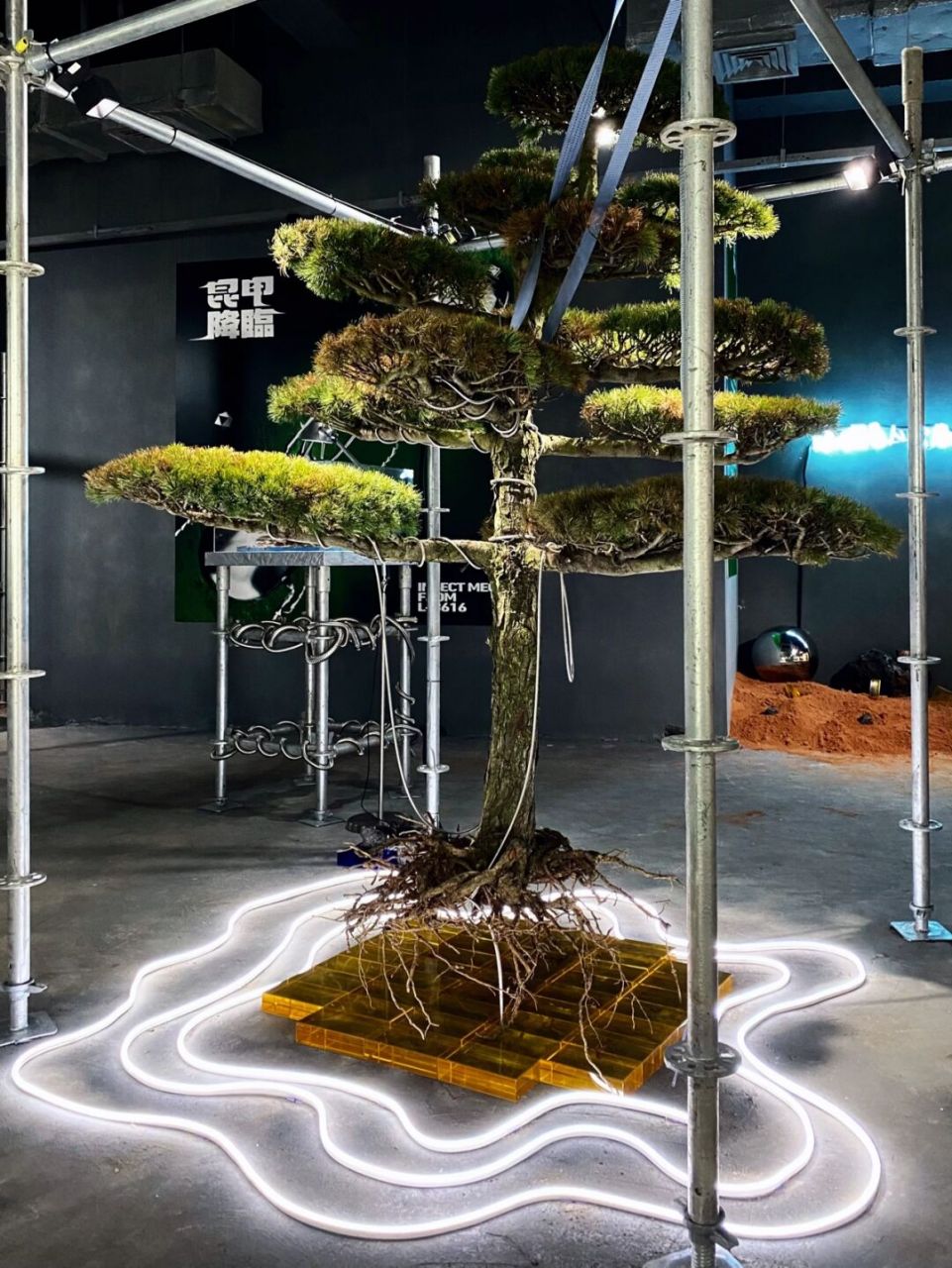 苏州首个昆甲展 潮人必打卡96未来感满满 id park歌林公园有新展啦!