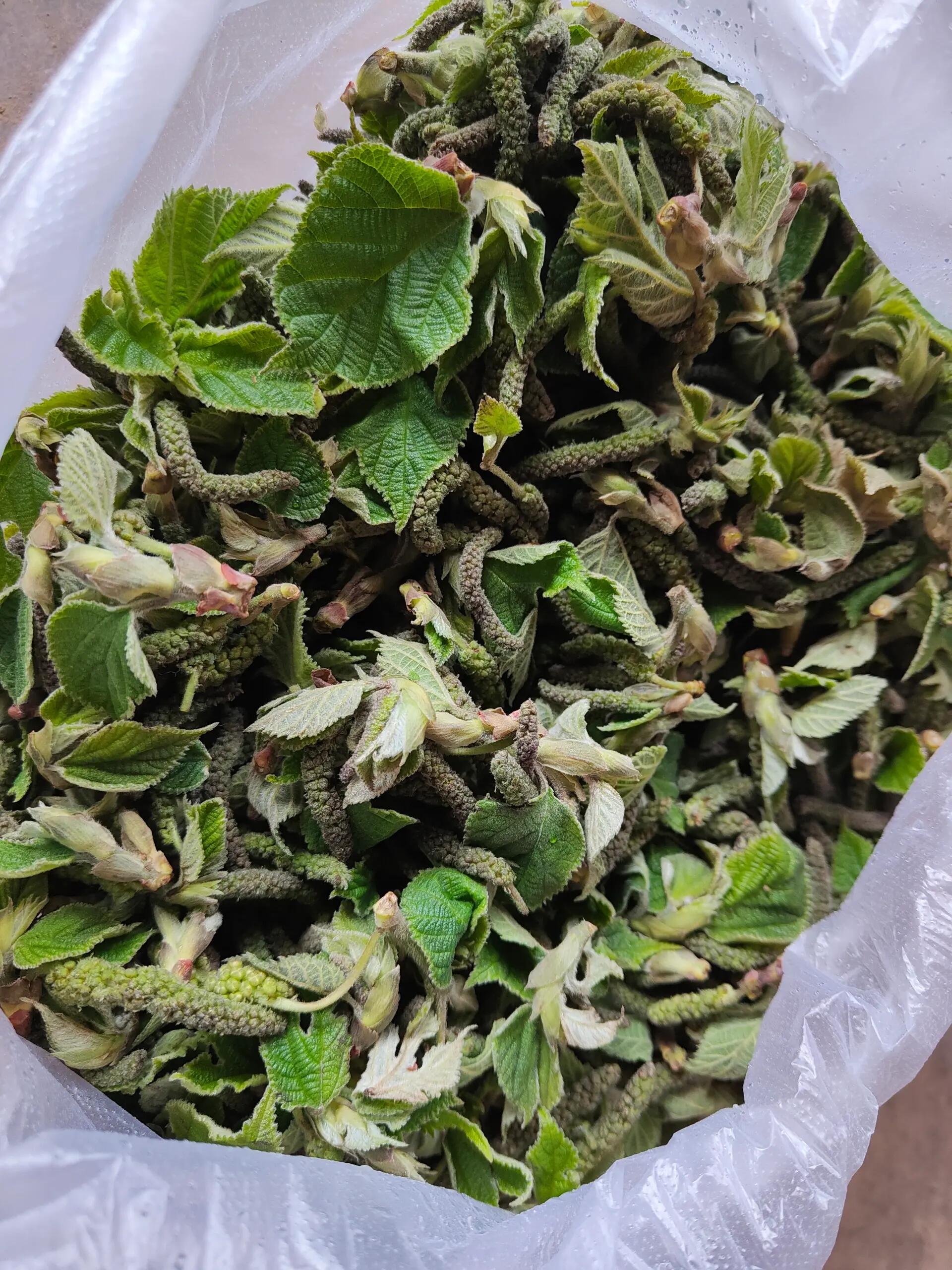 炸楮不揪