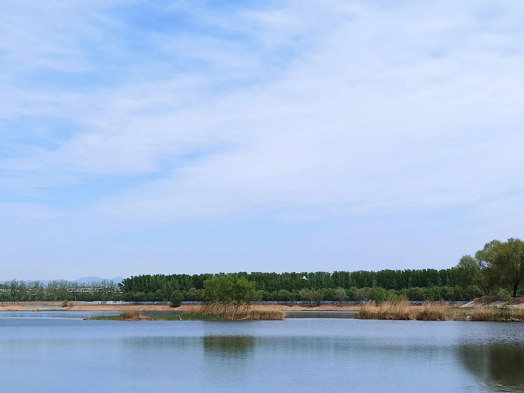 沙河水库,离家近的生态湿地.