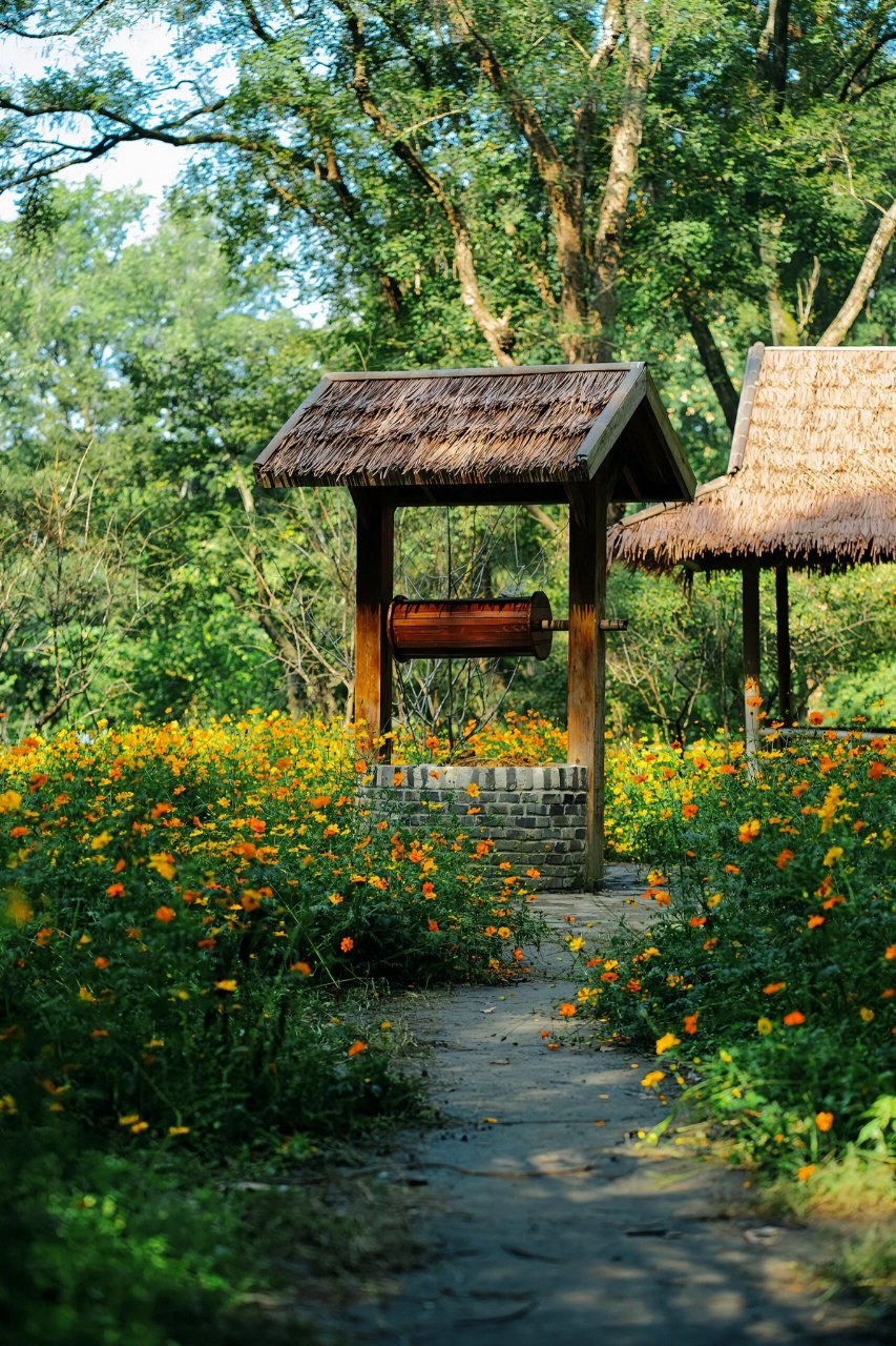 南京citywalk丨中山植物园(南园) 南京中山植物园正美成它最美的样子 