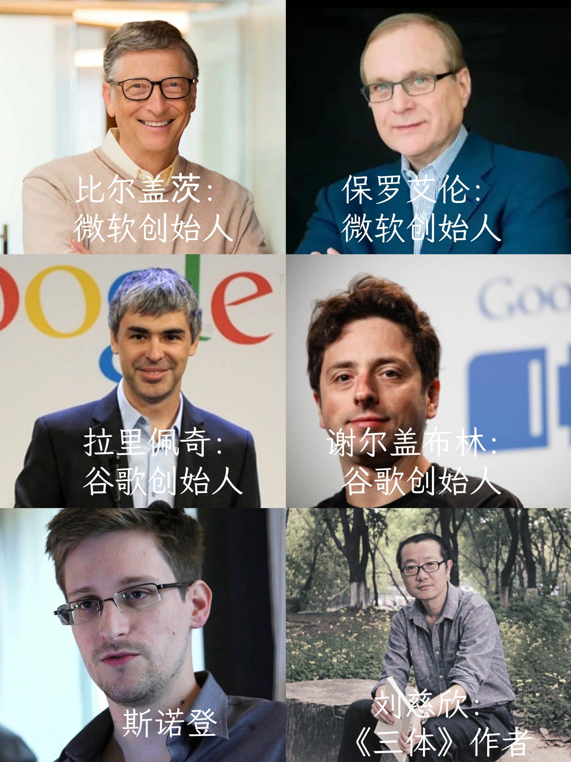 intp名人图片