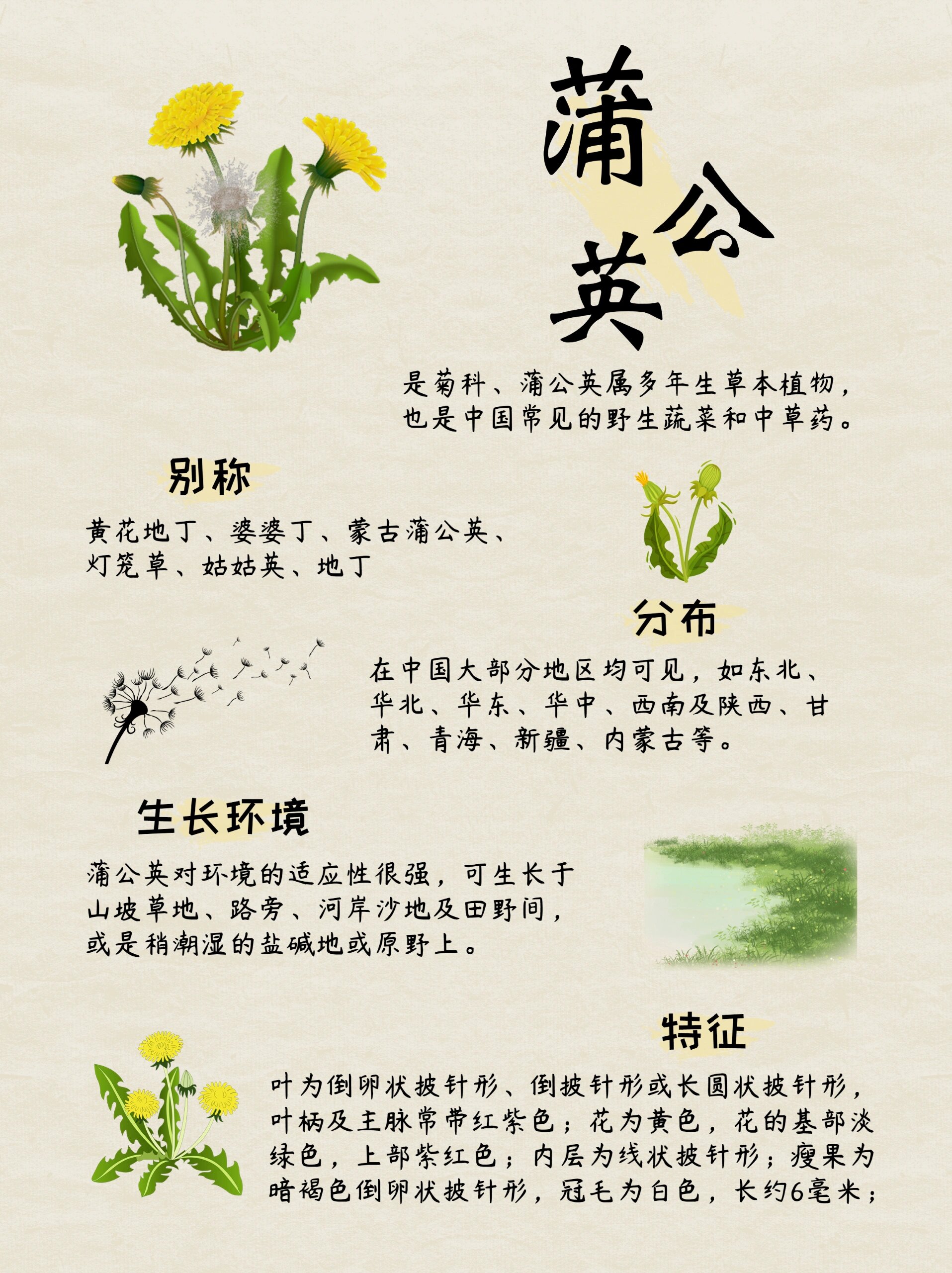 给孩子的自然科普