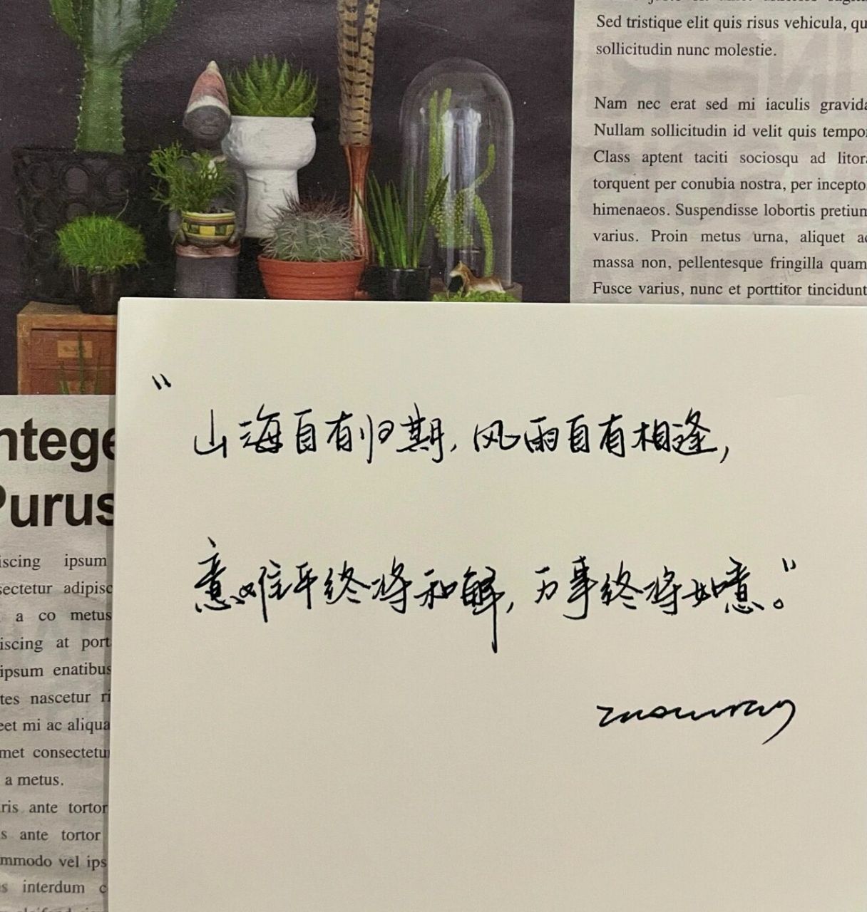爱意随风起 风止意难平94|意难平文案 94 山海自有归期 风雨自有