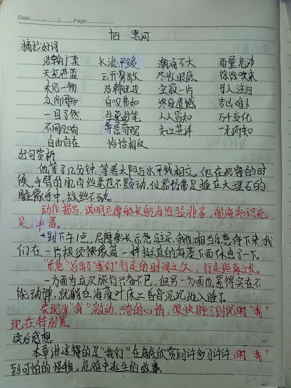 海底两万里读书笔记,第十四章,带赏析