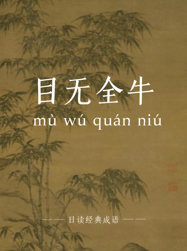 day1-中国人都知道的经典好用成语-目无全牛