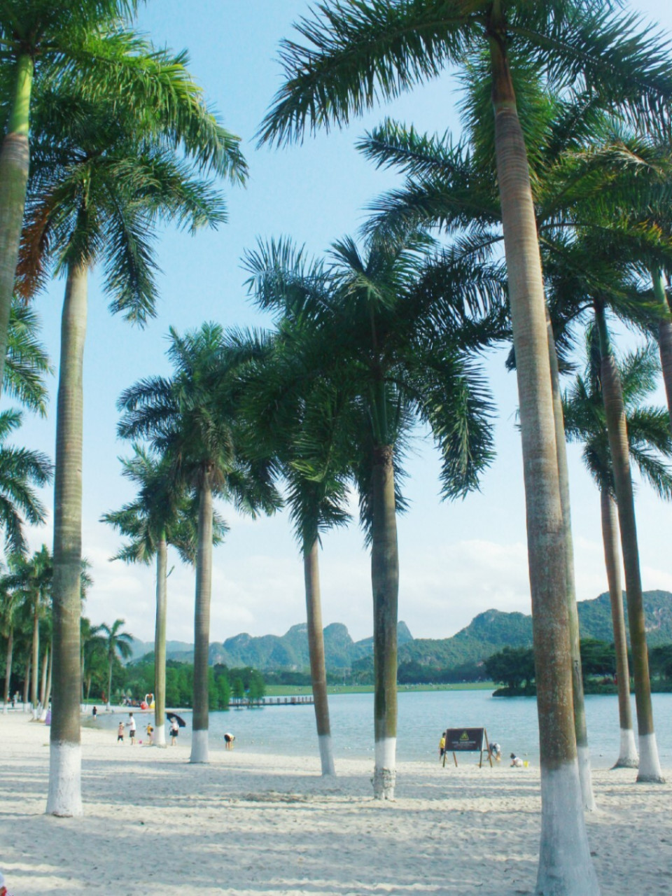 武鸣花花大世界|爱琴海|南宁周边拍照 花花大世界我也是第一次来,算是