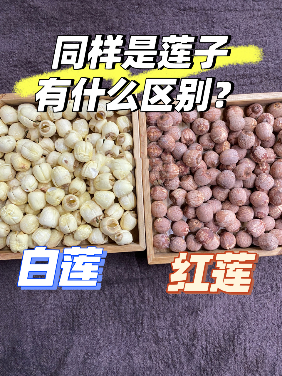 白莲,红莲有什么区别?