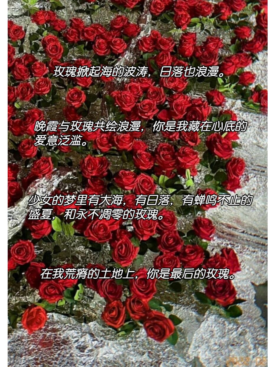 96关于玫瑰的绝美文案|神仙作文素材