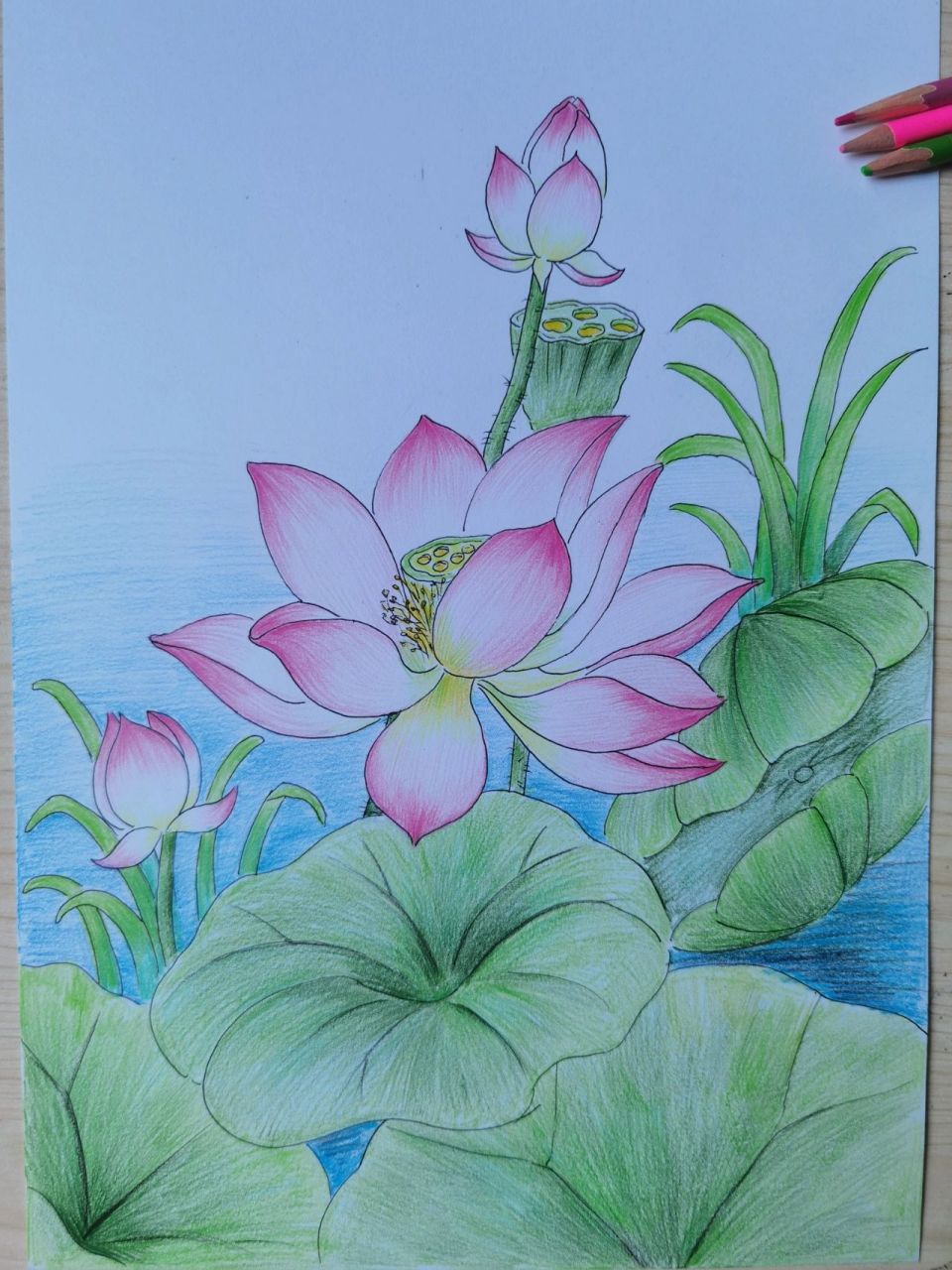 彩铅荷花池,好看吗 教孩子们画彩铅画,最出效果之一就是荷花啦!