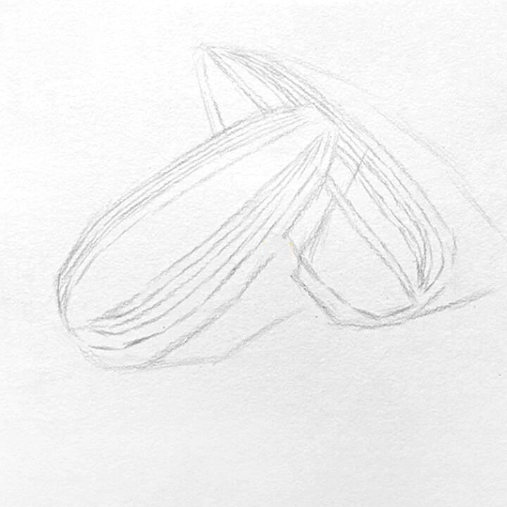 素描瓜子绘画详细步骤