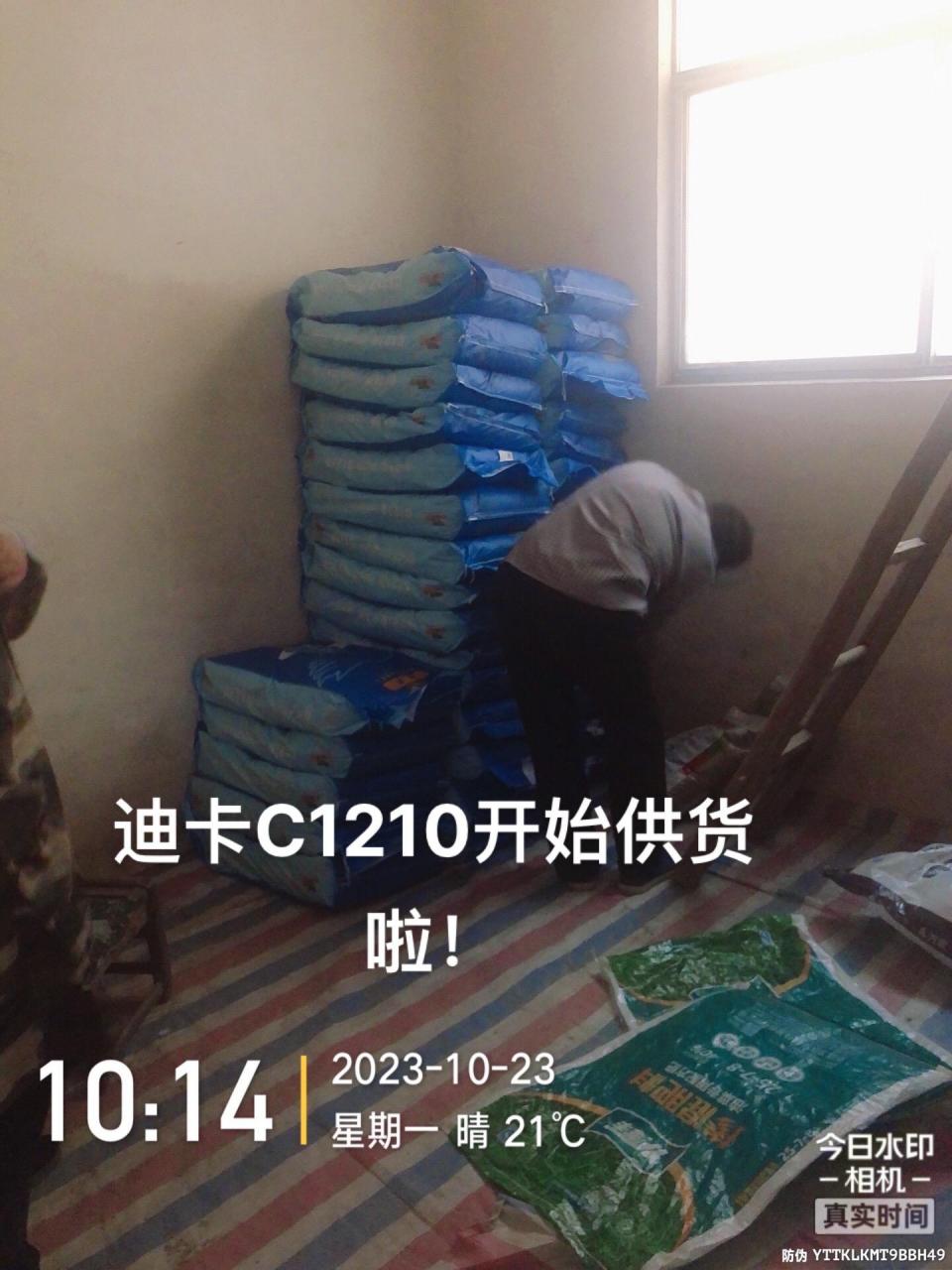迪卡c1210,高产看得见!