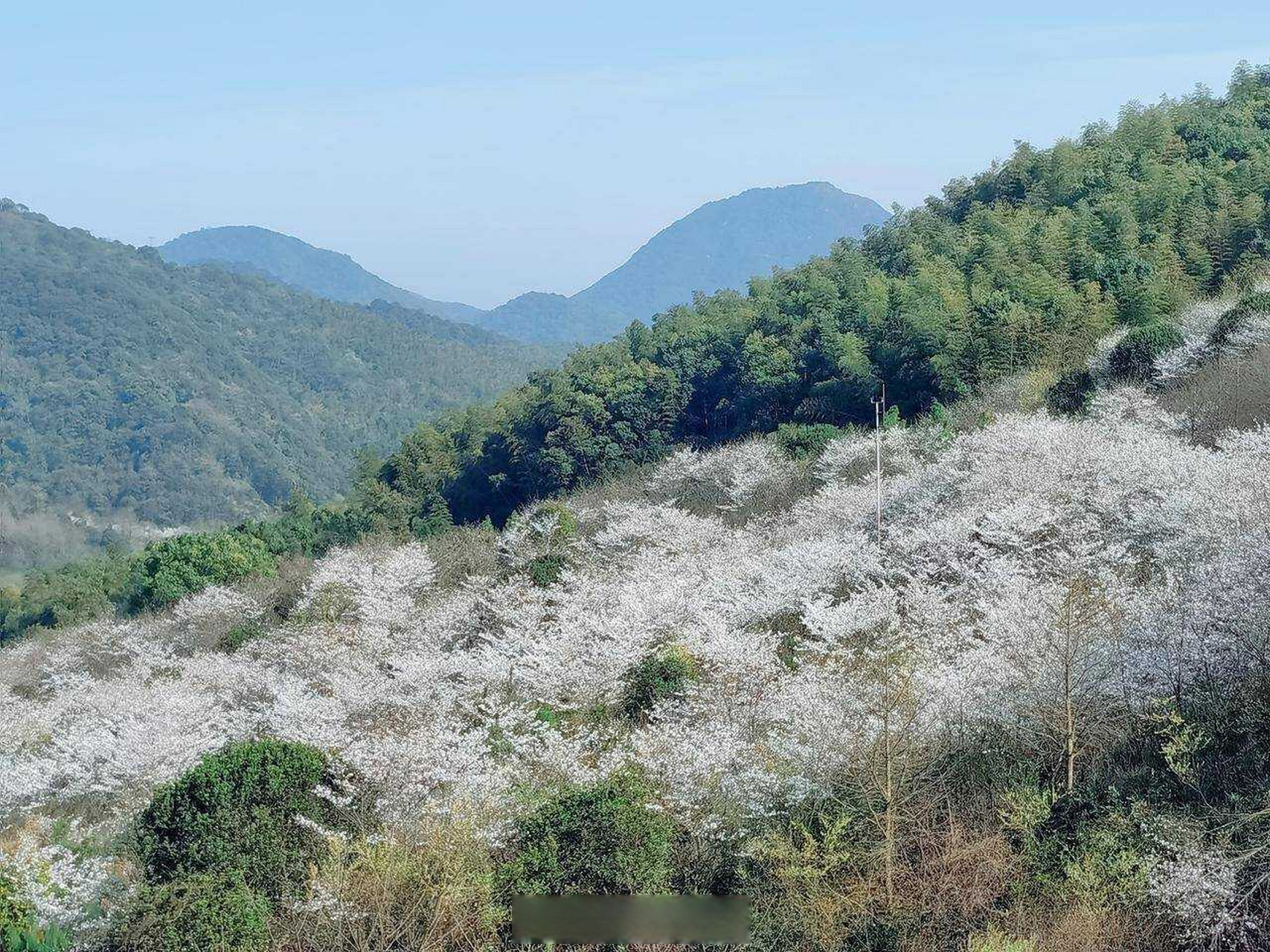 北仑太白山图片