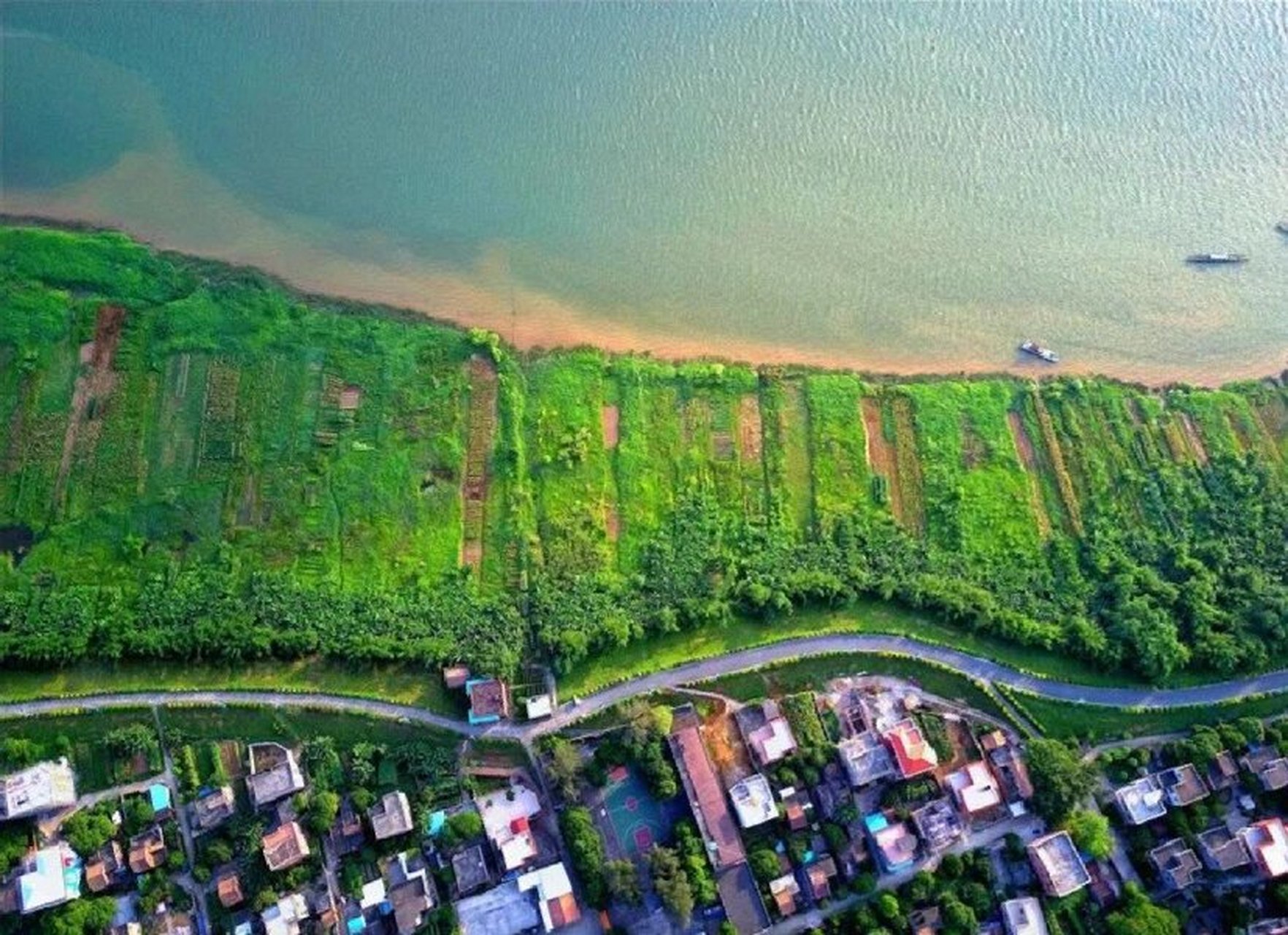 佛山8个江中小岛 1九江海寿岛 环岛骑行风光明媚 海寿岛位于佛山南海