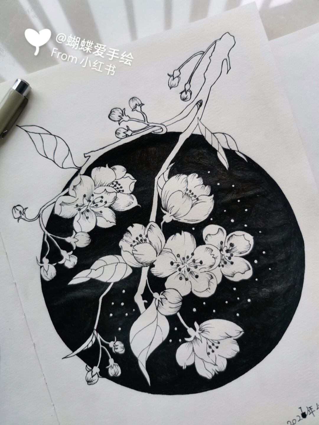 桃花素描图片 简单图片