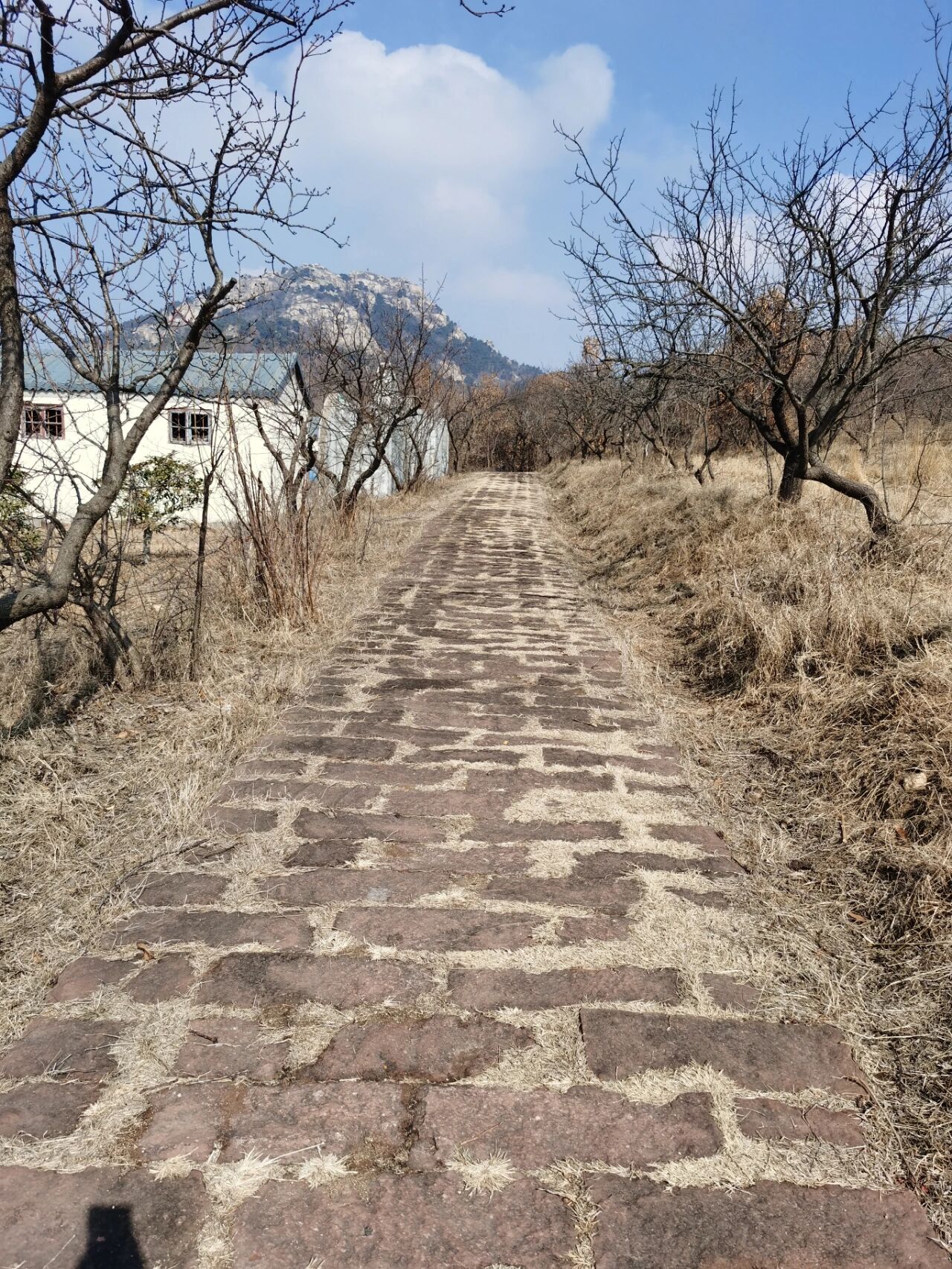 临沭苍马山门票图片