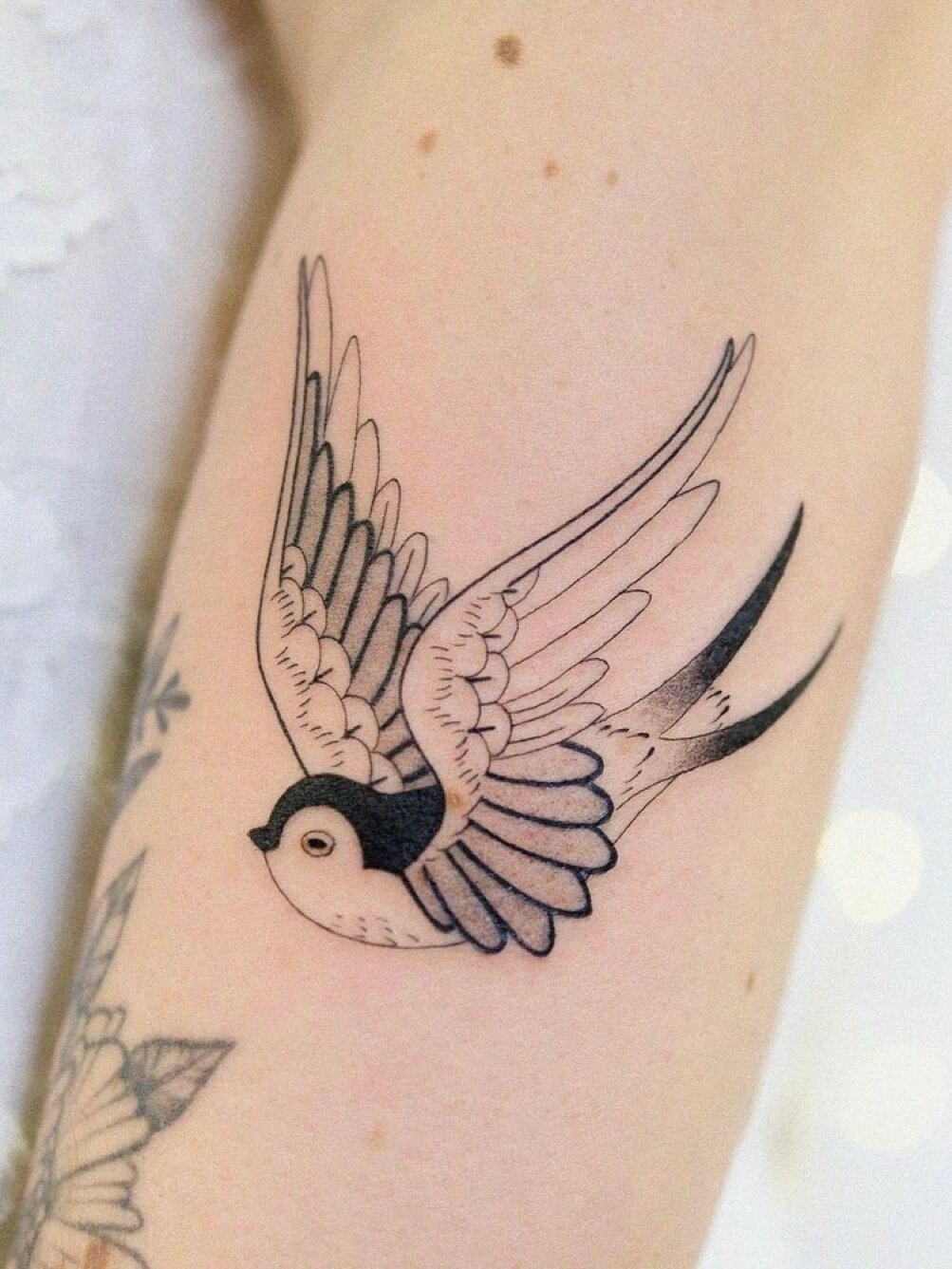 燕子纹身合集【3】|这8个燕子纹身创意满满