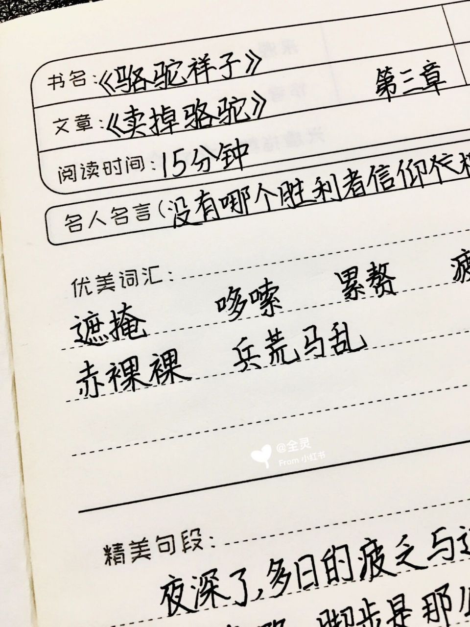 《骆驼祥子》读书笔记 第三章 卖掉骆驼 七年级下册必读