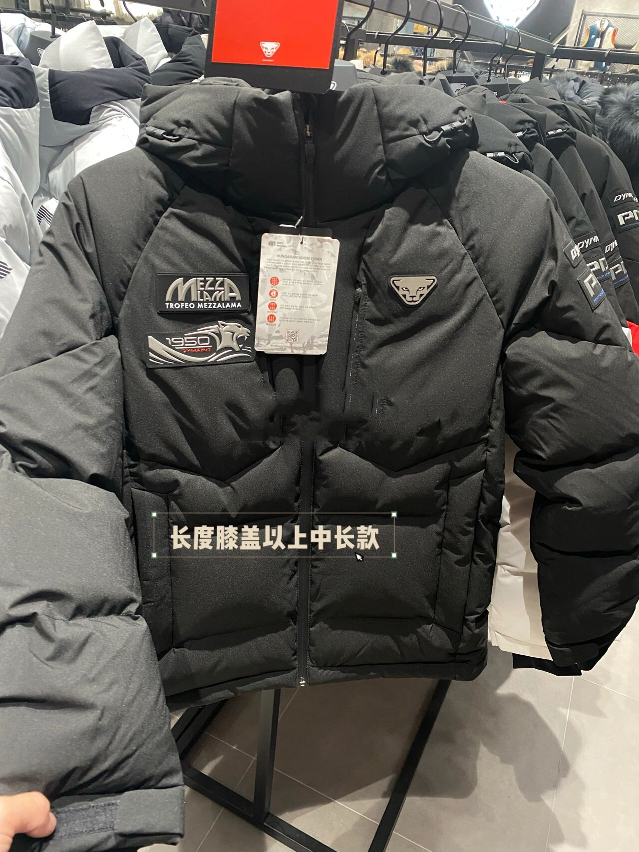 韩国欧巴喜欢的【豹子头】羽绒服 2021是这个款的,今年比去年还要偏移