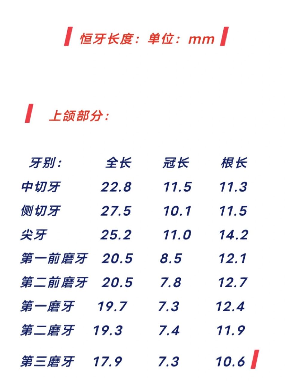 本期总结各牙的根管长度数据  记得点7815和
