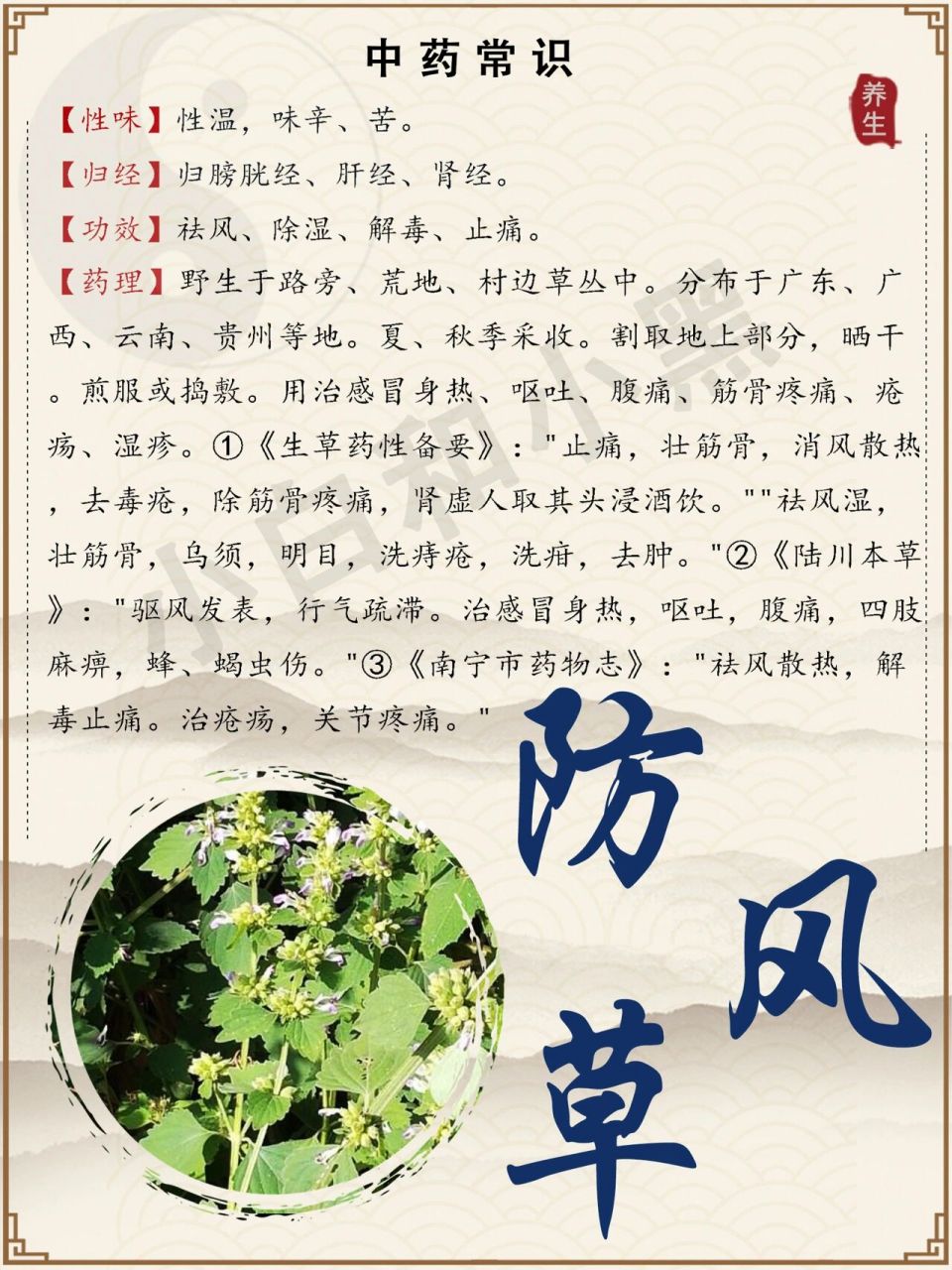 每天了解一种中药:防风草 别名:豨莶草,土防风,落马衣,假紫苏,马衣叶