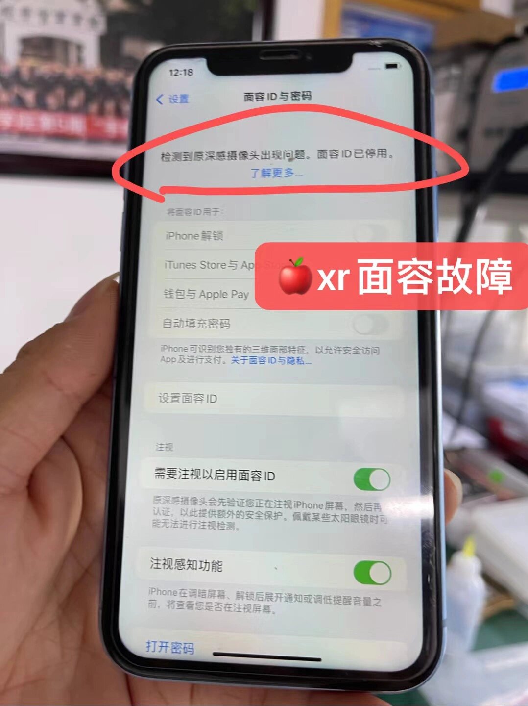 苹果xr短信验证码自动填充 苹果xr短信验证码自动填充
