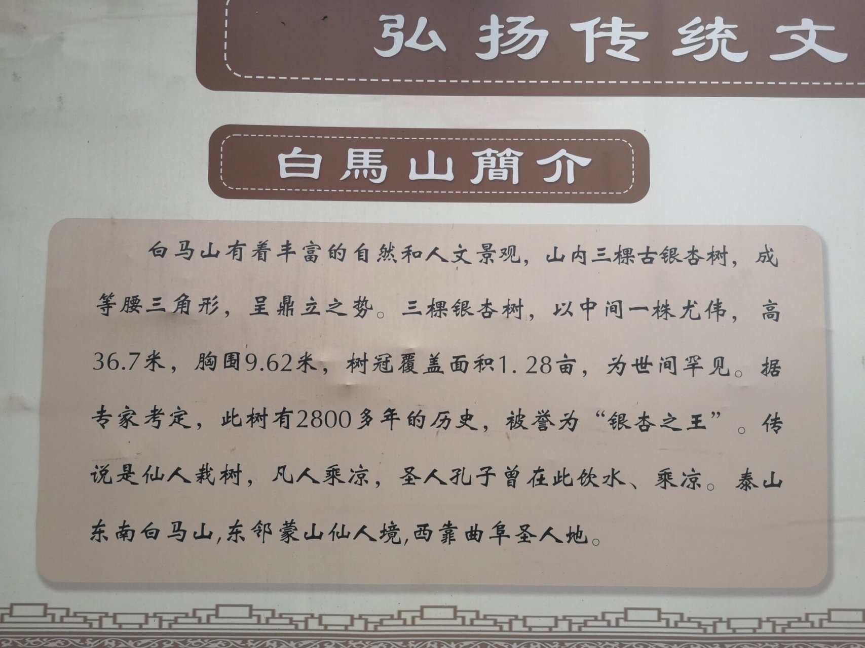 新泰市石莱镇白马寺图片