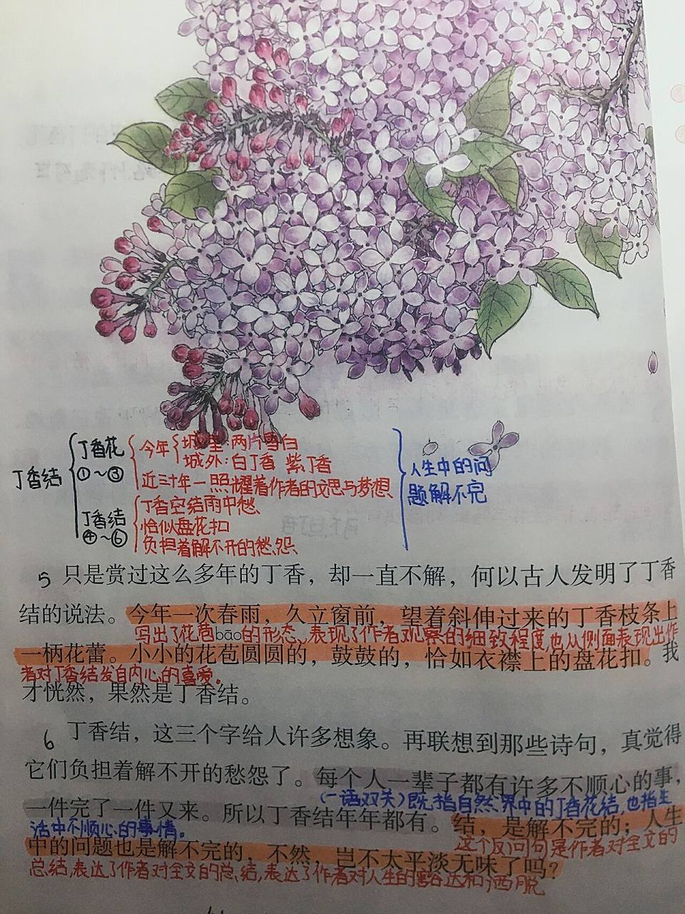 六上语文第二课《丁香结》课堂笔记