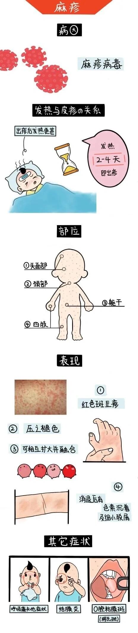 麻疹跟幼儿急疹的区别图片