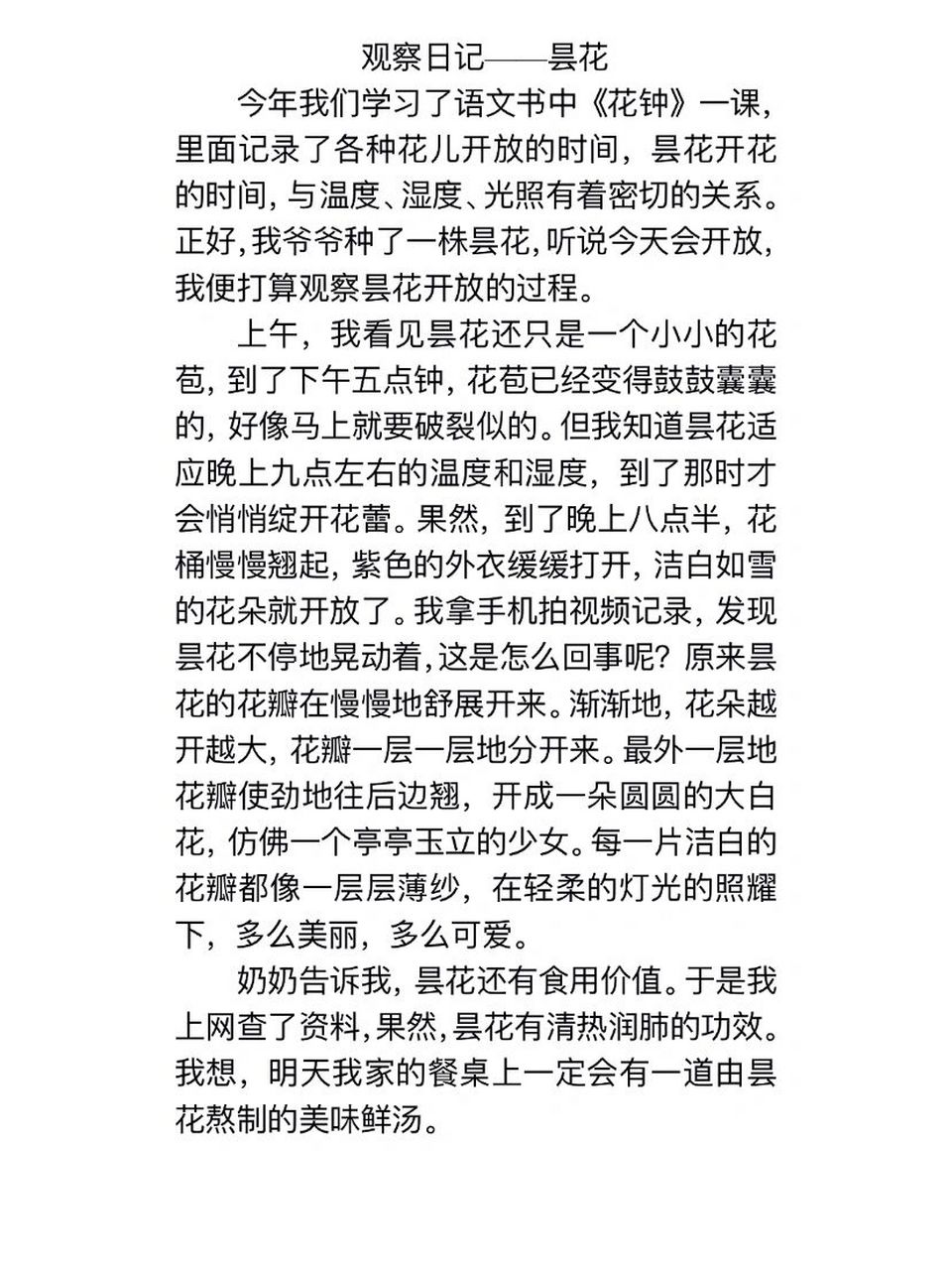 观察日记——昙花